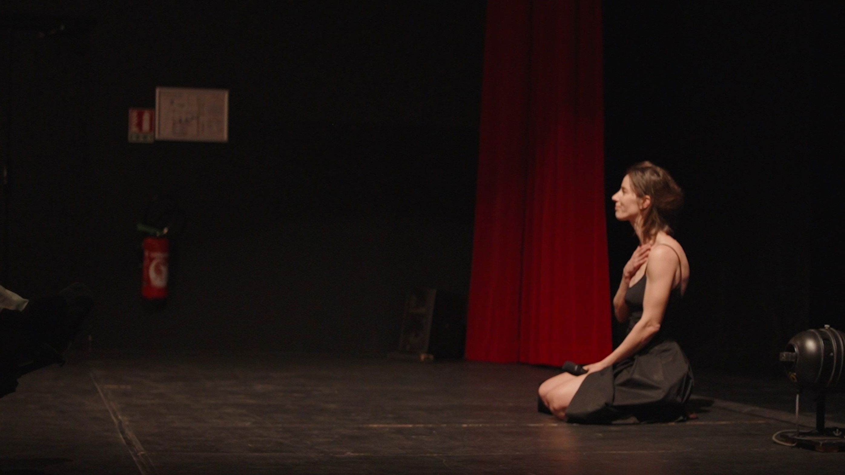 Backdrop for Danse la Vie