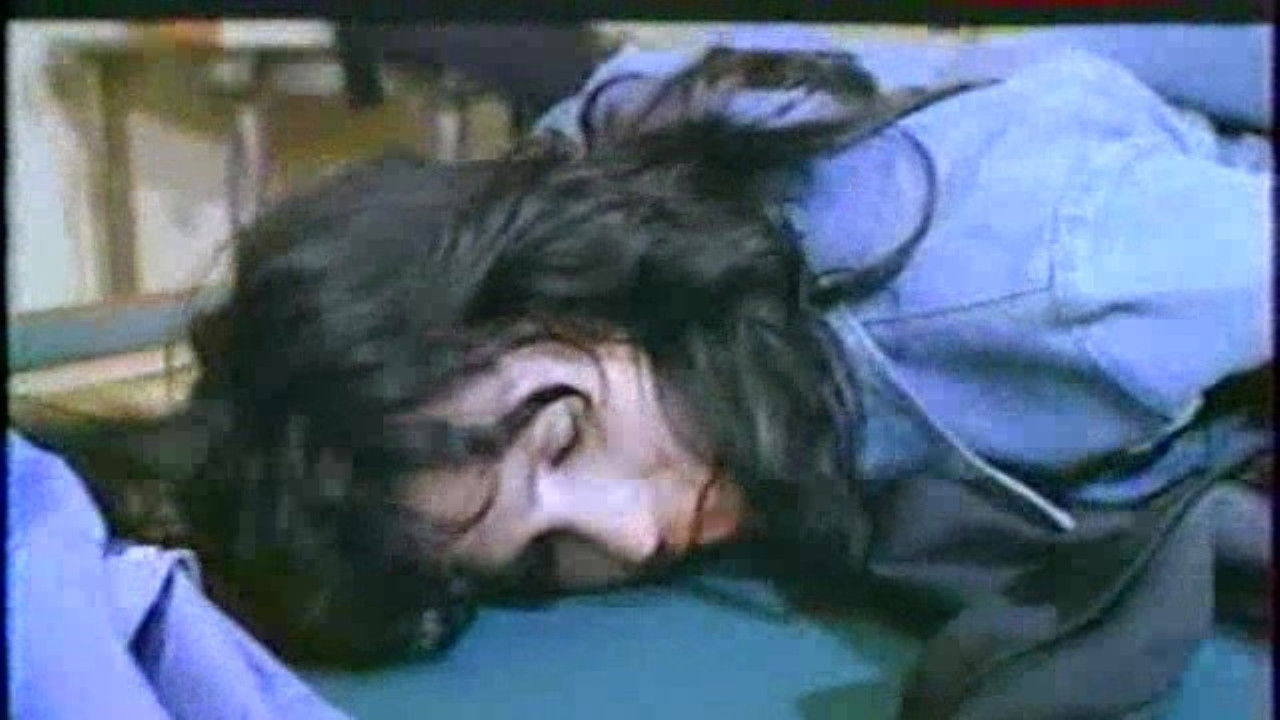 Backdrop for Positions danoises