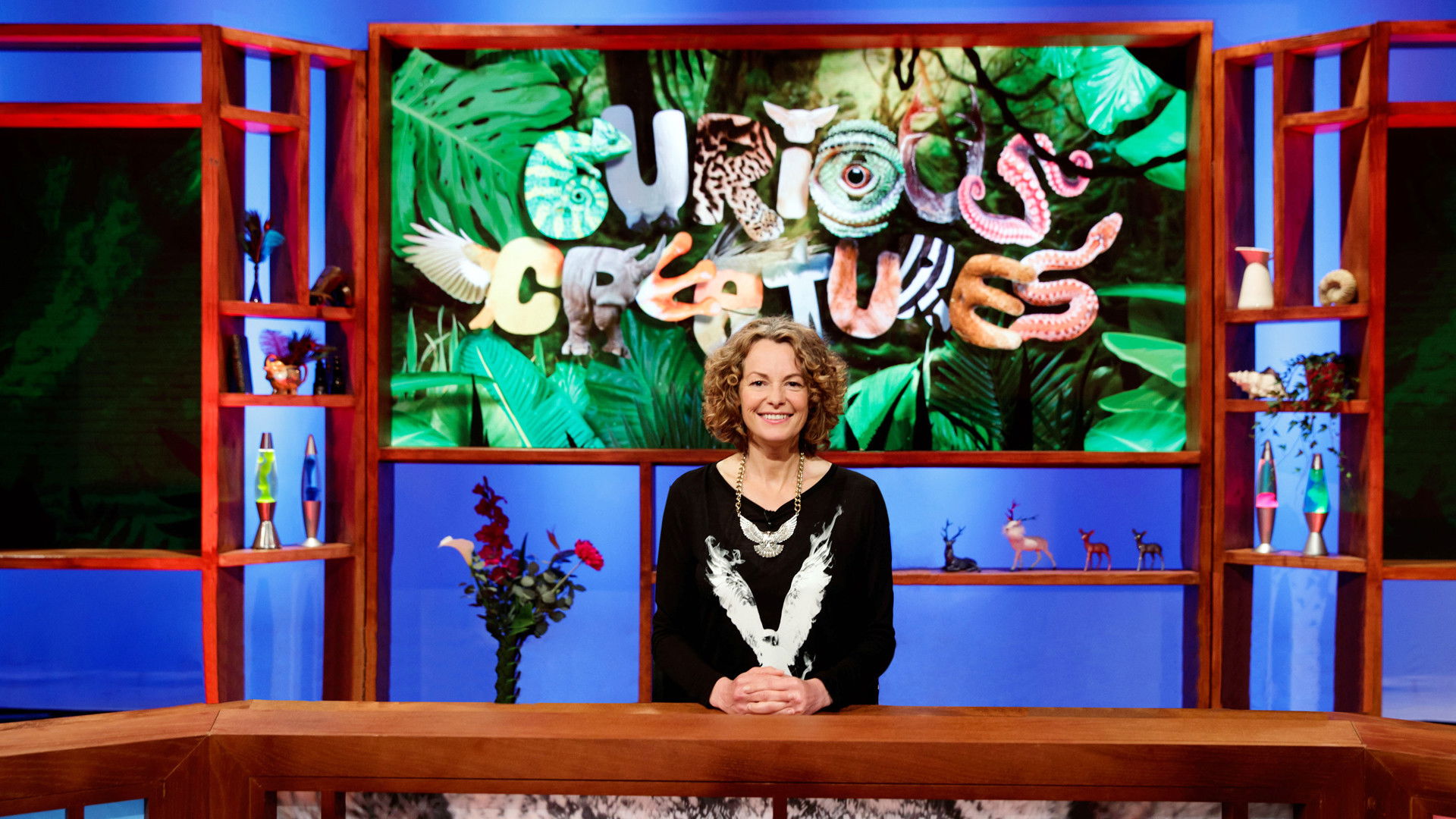 Backdrop for Curious Creatures