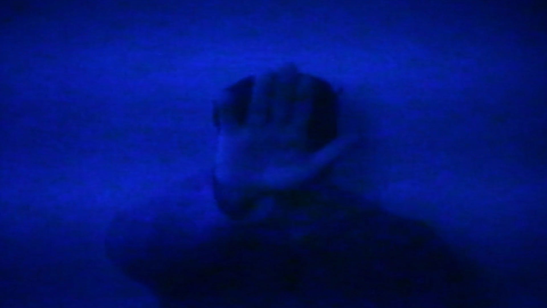 Backdrop for HSP: There Is No Escape from the Terrors Of the Mind