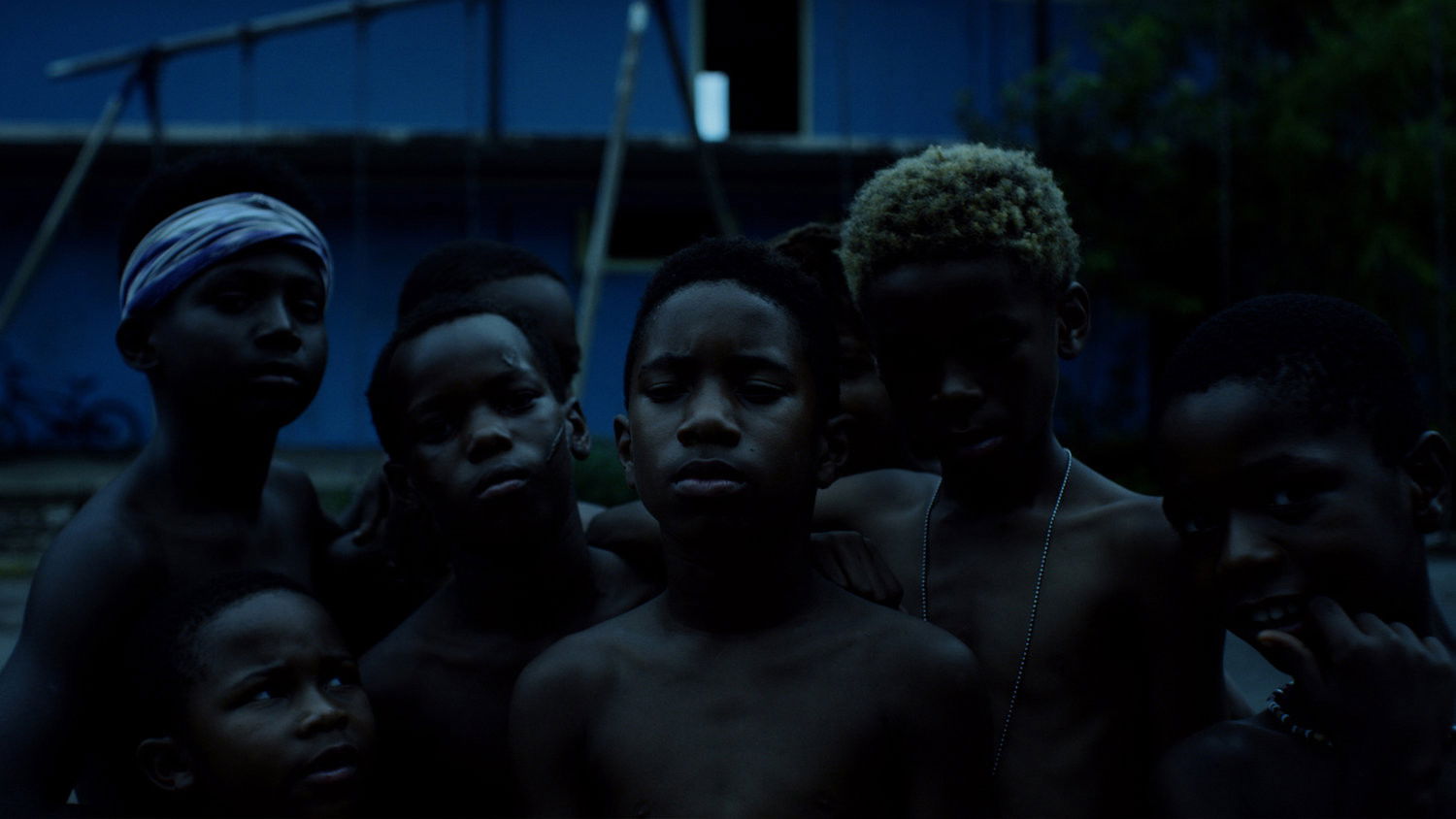 Backdrop for Feathers