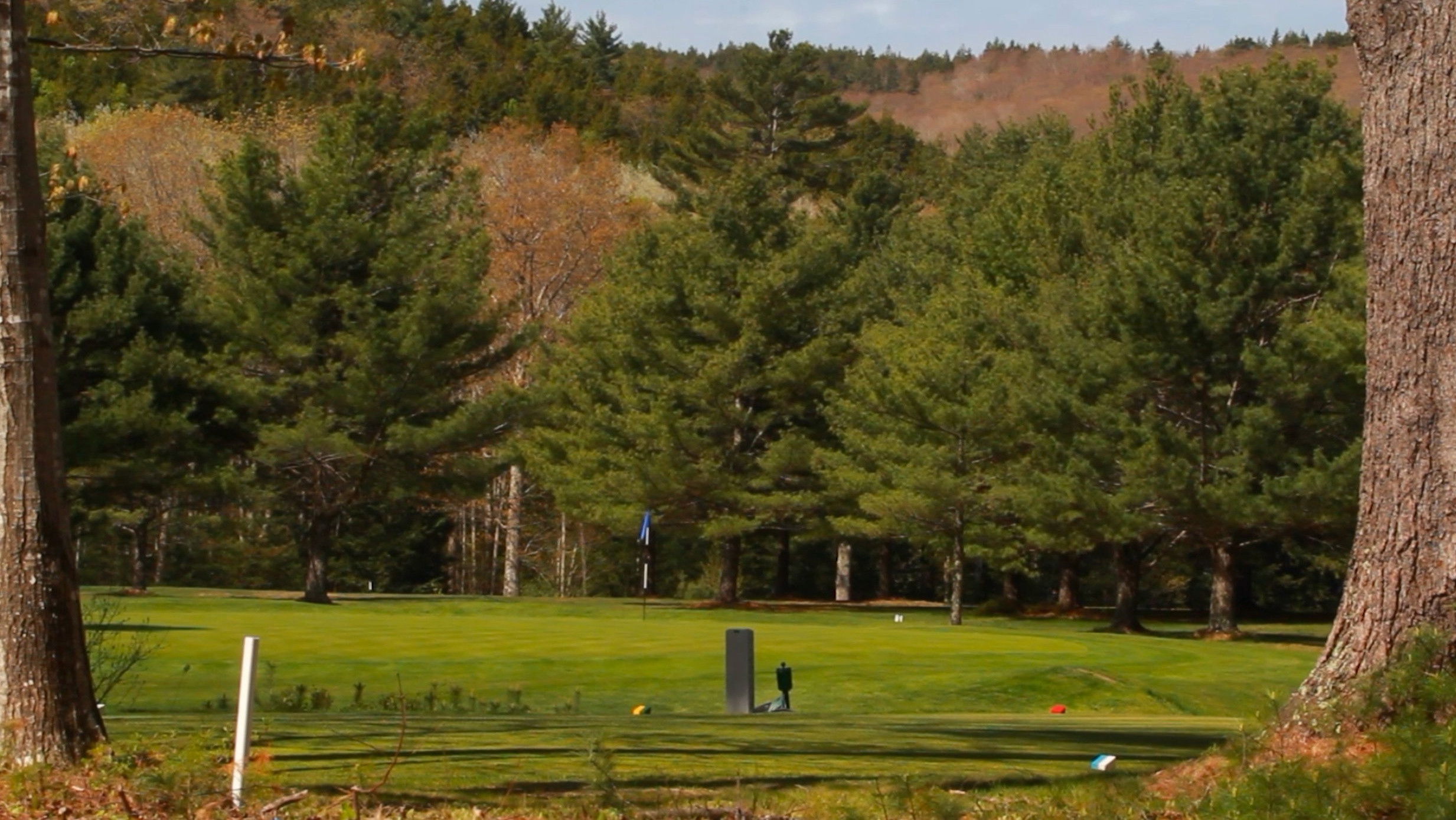 Backdrop for golf course