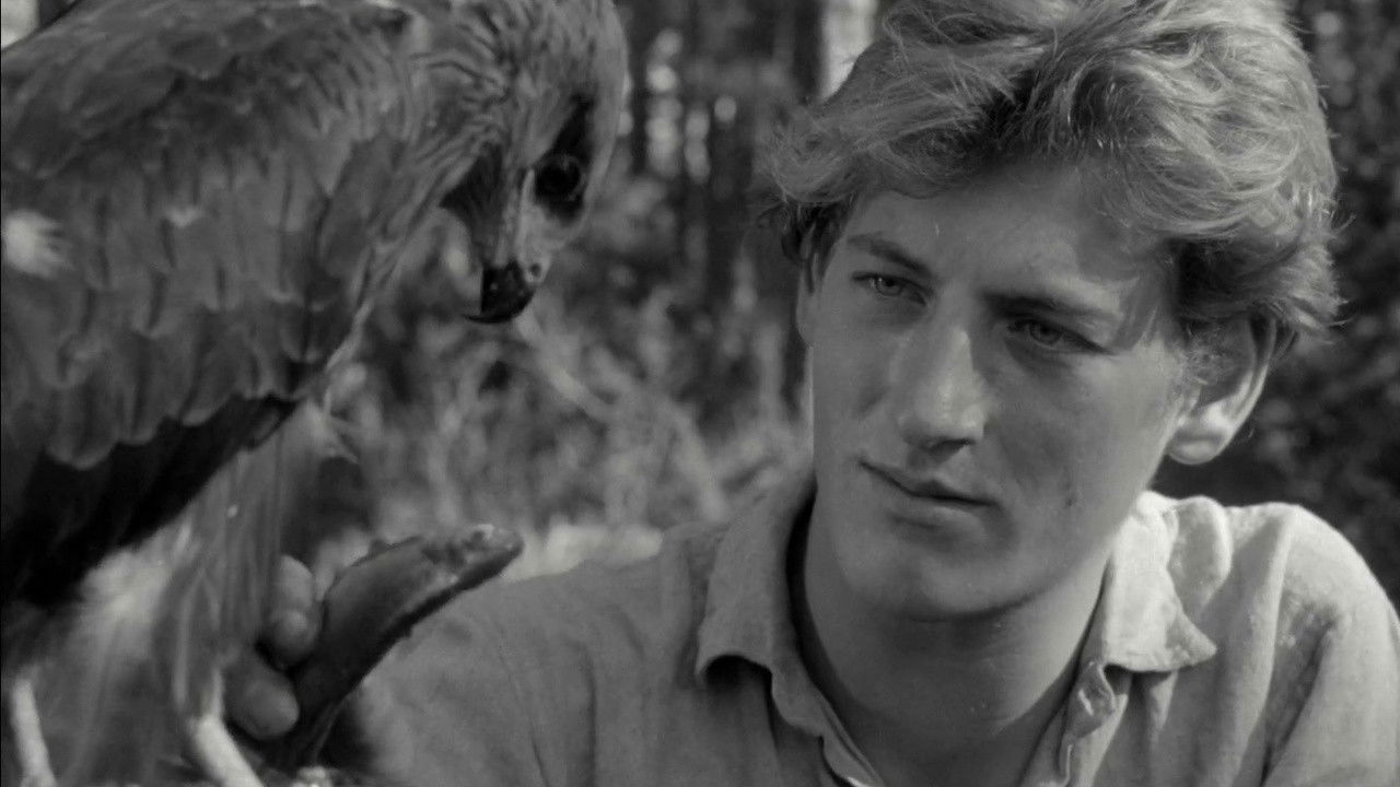 Backdrop for The Rafts Sail On