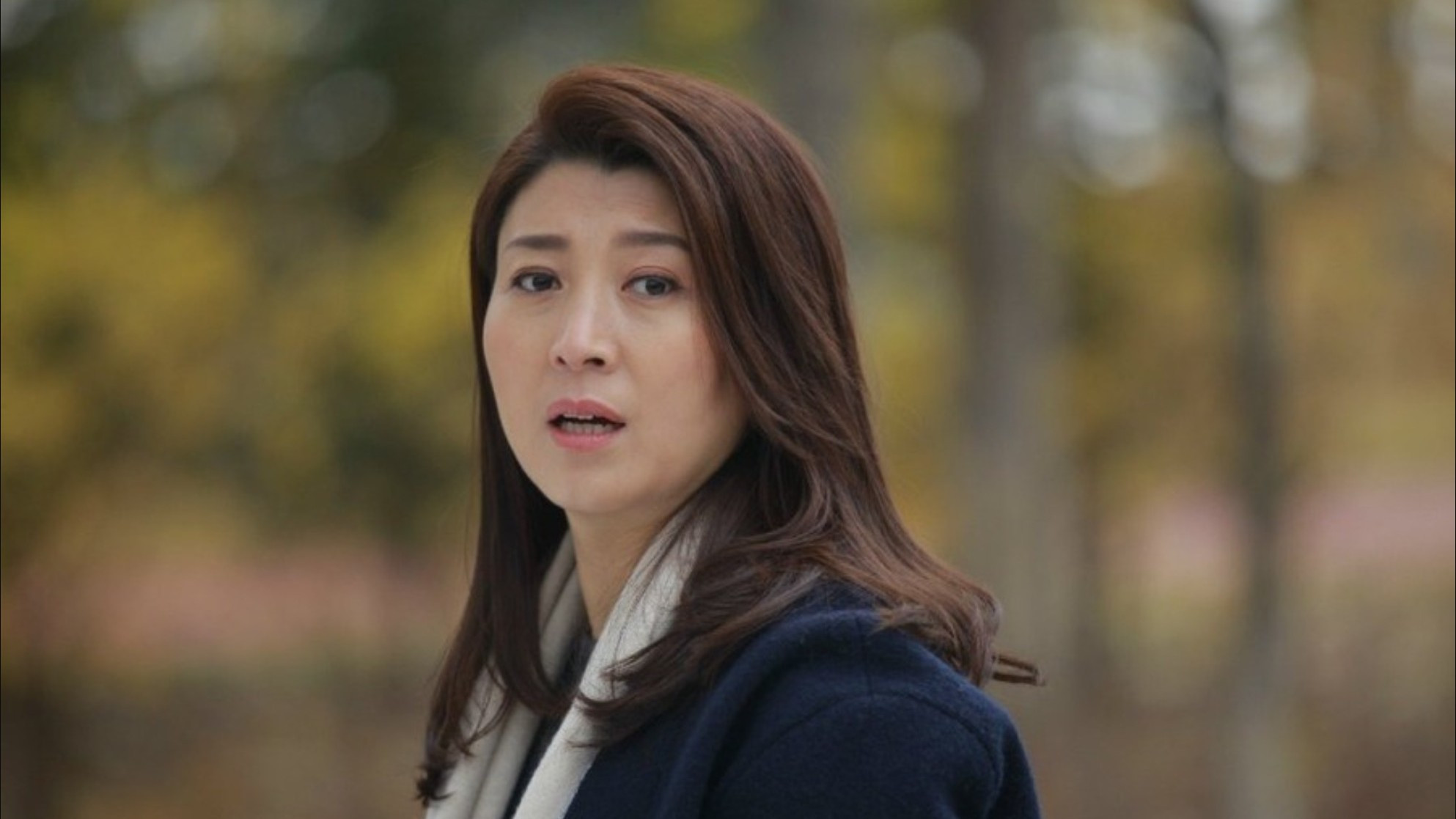 Backdrop for 继父回家