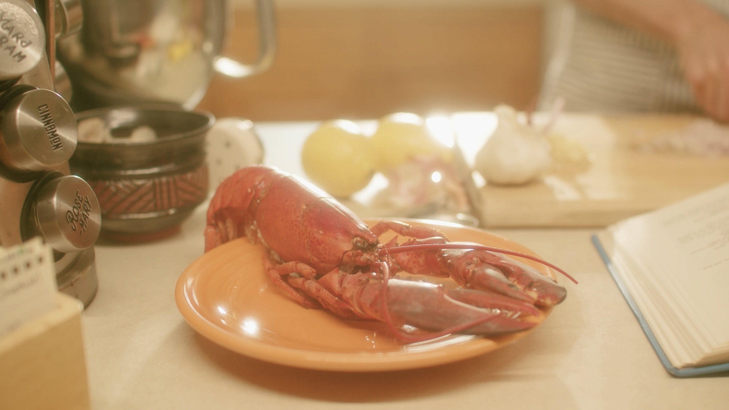 Backdrop for Shellfish Knish