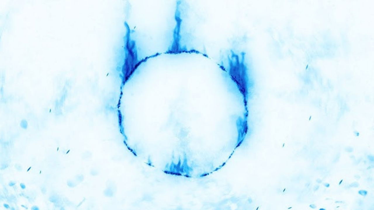 Backdrop for Sabaku, Cydonia e Dark Souls | IL FILM [REVAMPED]