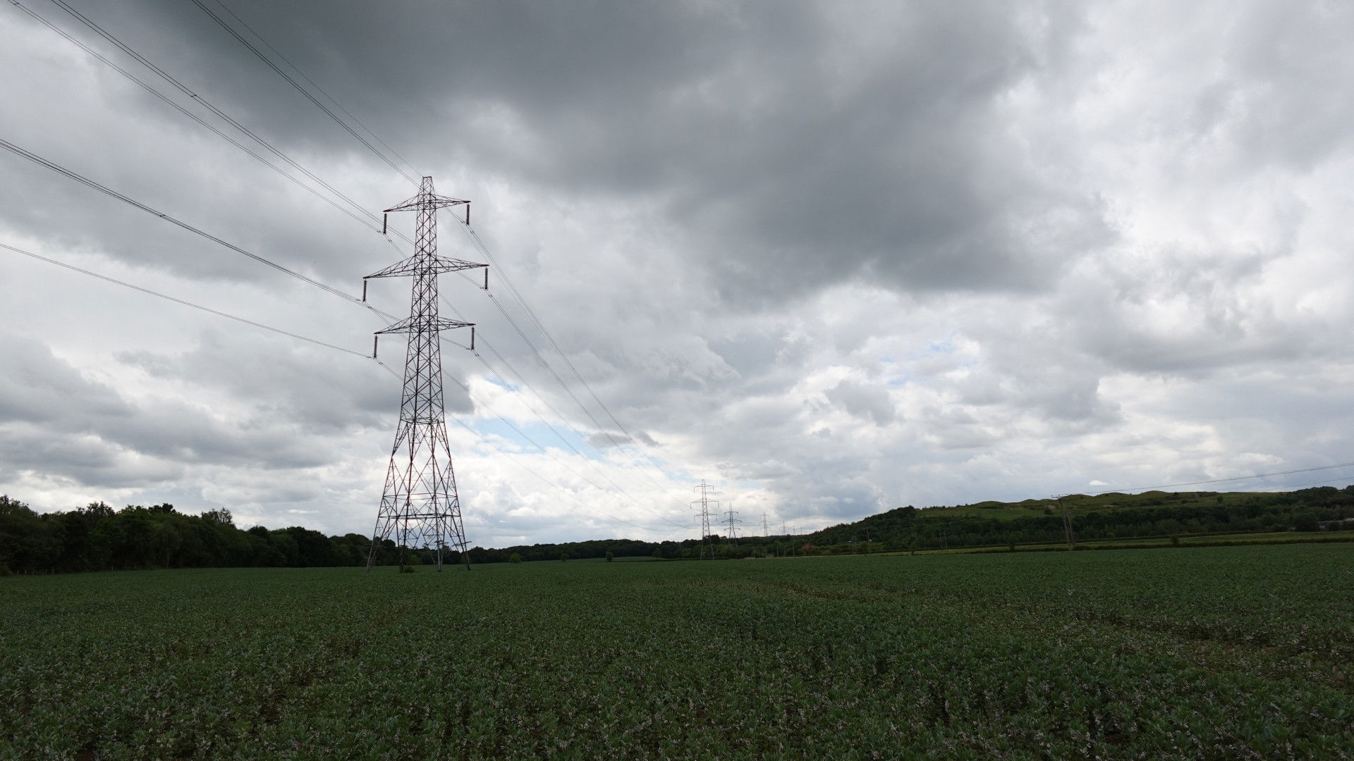 Backdrop for Blood Bond