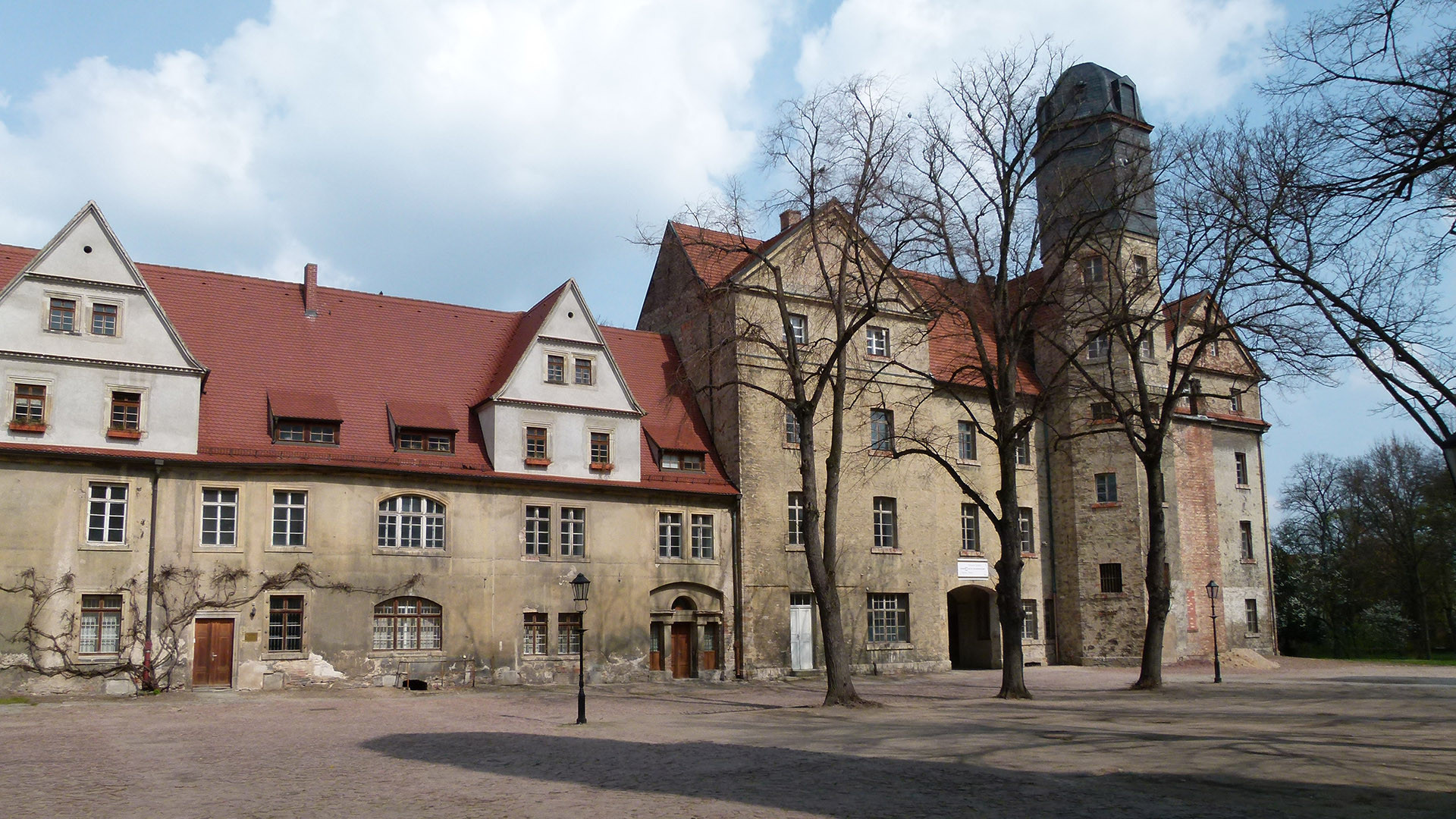 Backdrop for Bach: Brandenburg Concertos