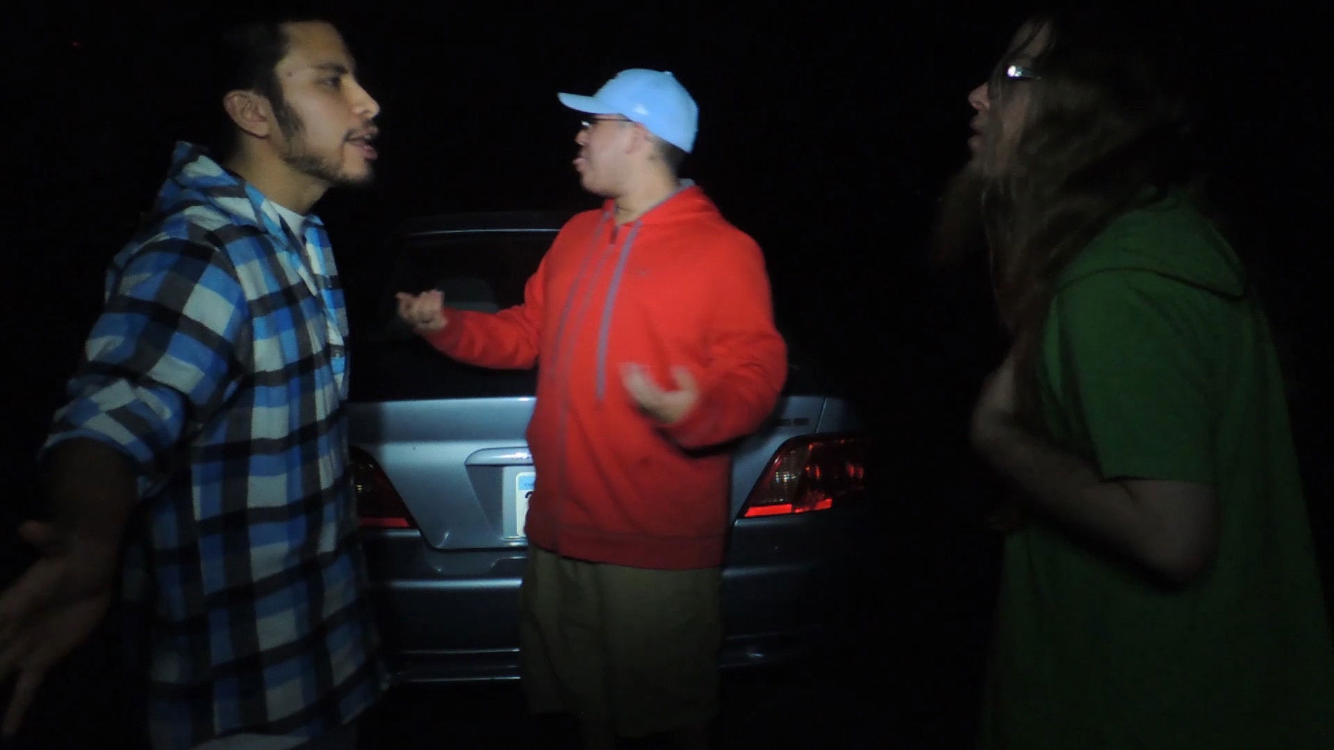 Backdrop for Animals