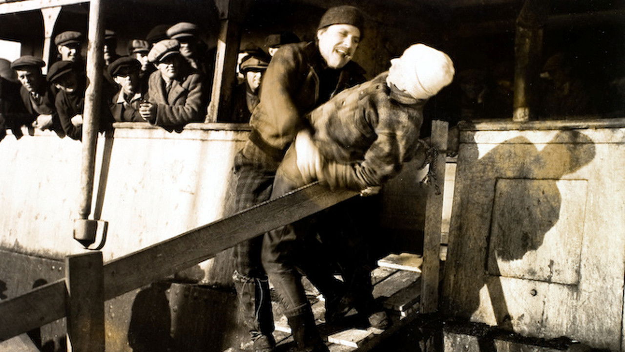 Backdrop for The Viking