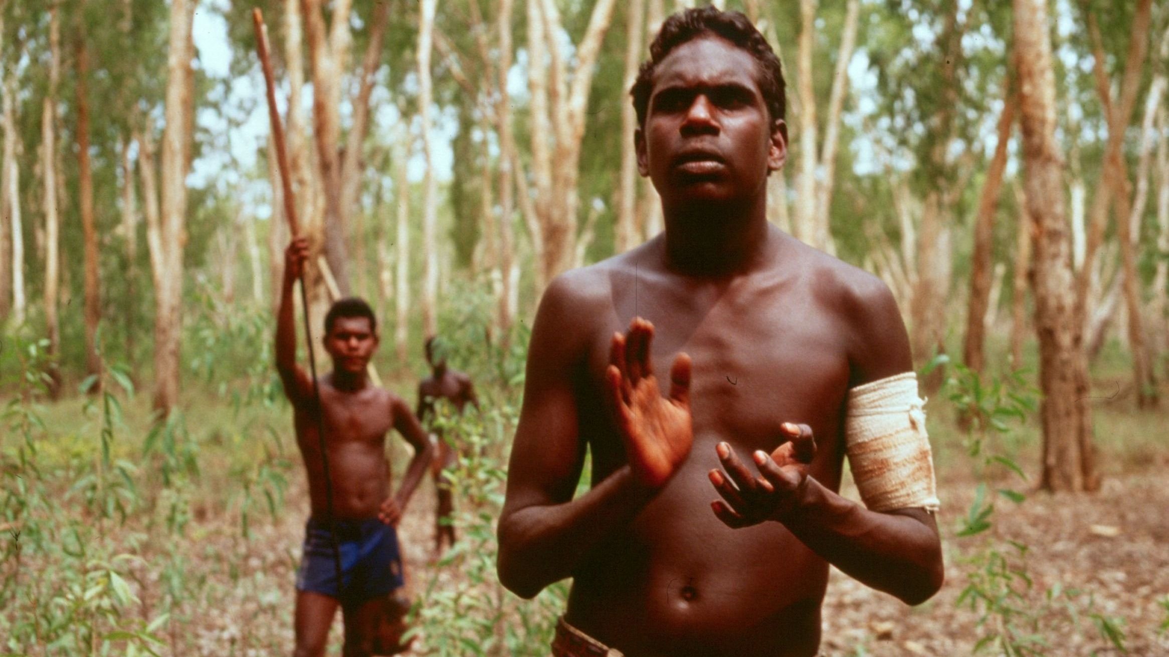 Backdrop for Yolngu Boy