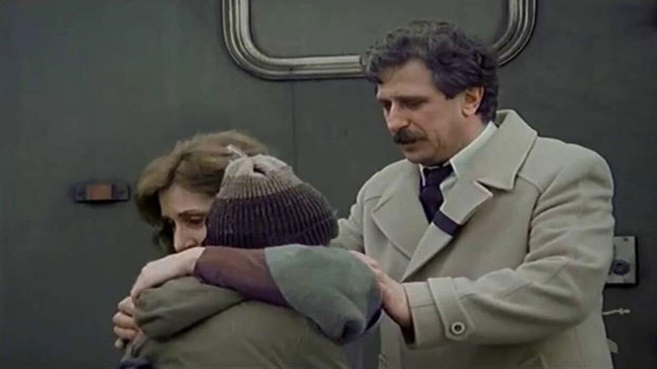 Backdrop for Moss-Covered Asphalt