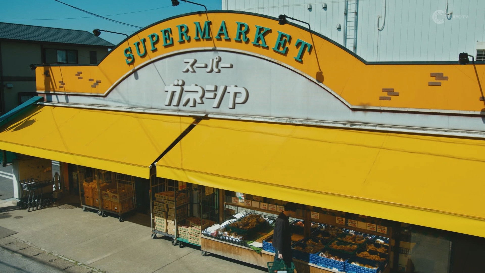 Backdrop for I’m Curious About the Contents of the Supermarket Basket