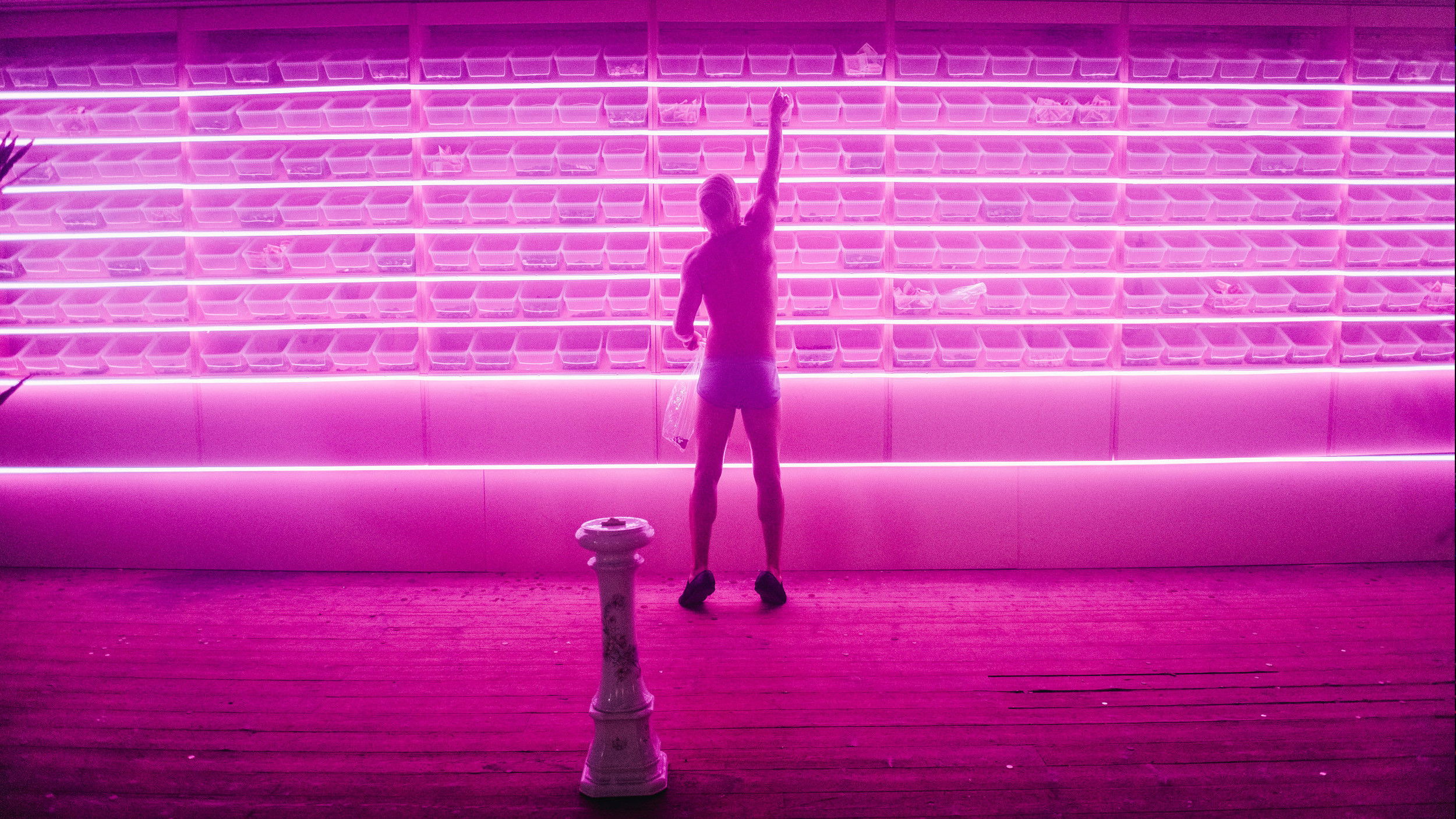 Backdrop for The Monkey and the Mouth