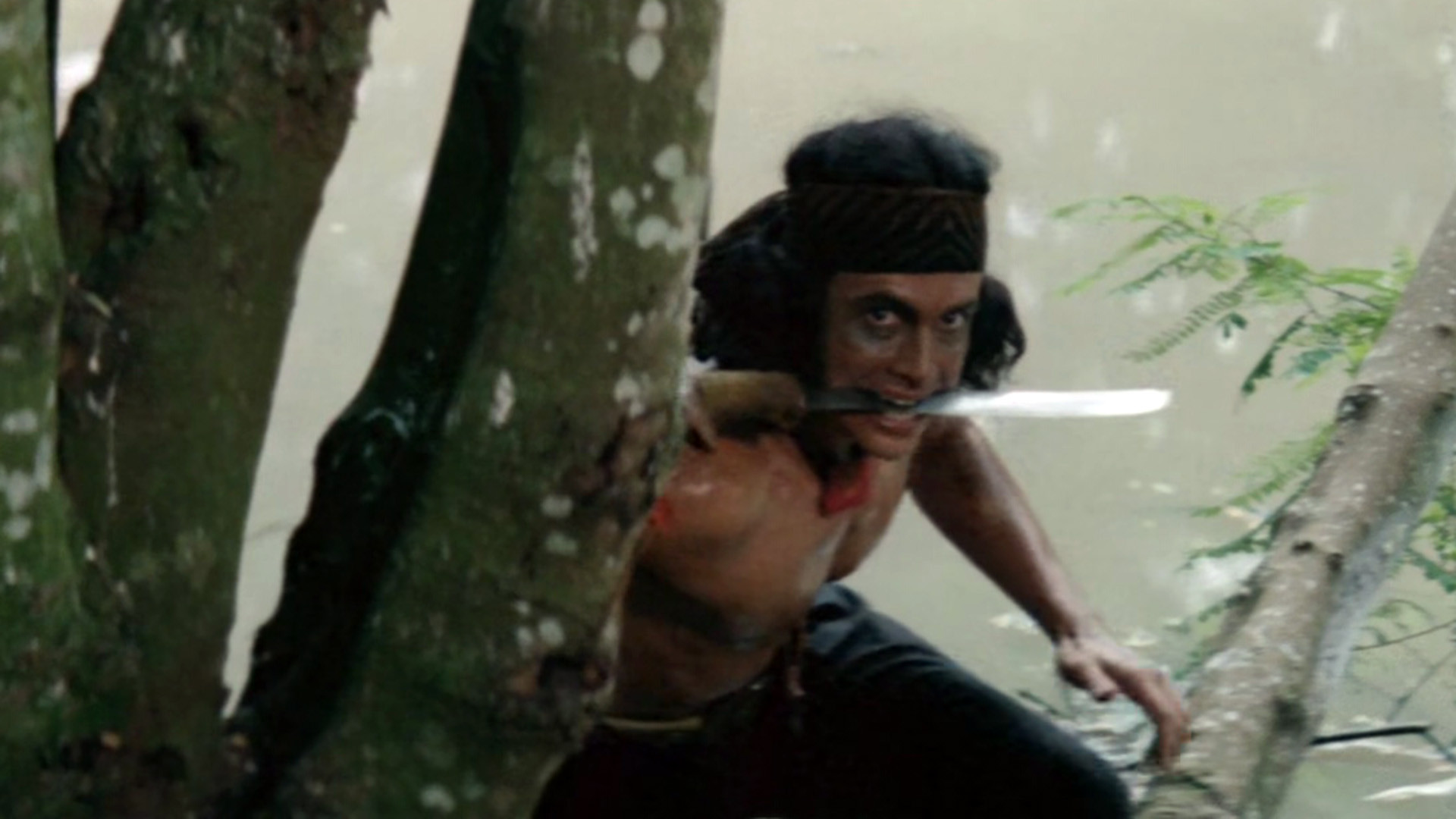 Backdrop for The Warrior