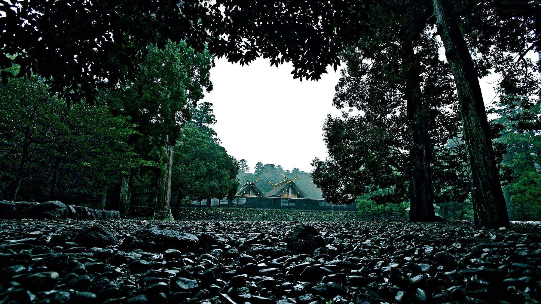 Backdrop for In Between Mountains and Oceans