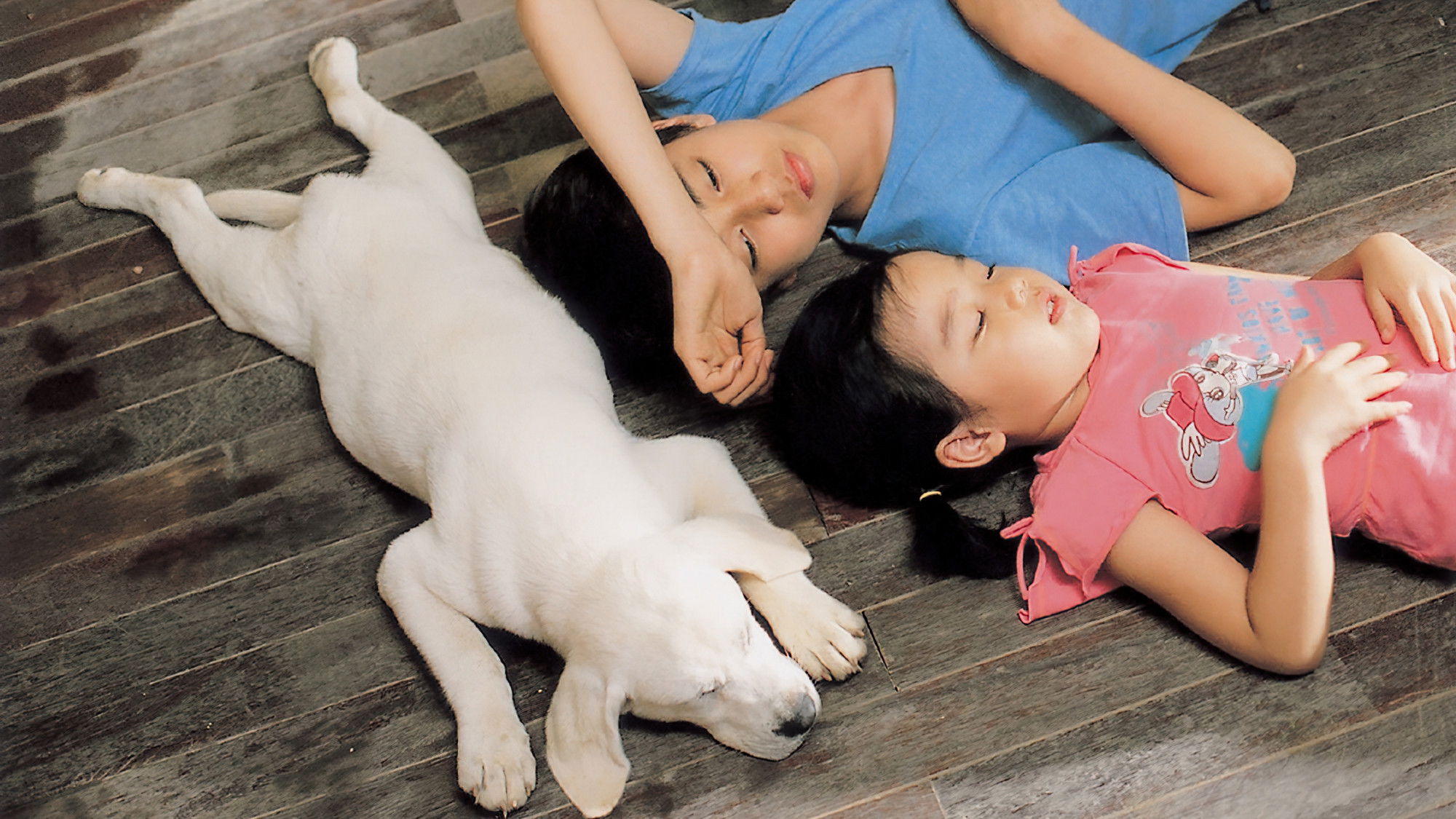 Backdrop for Hearty Paws