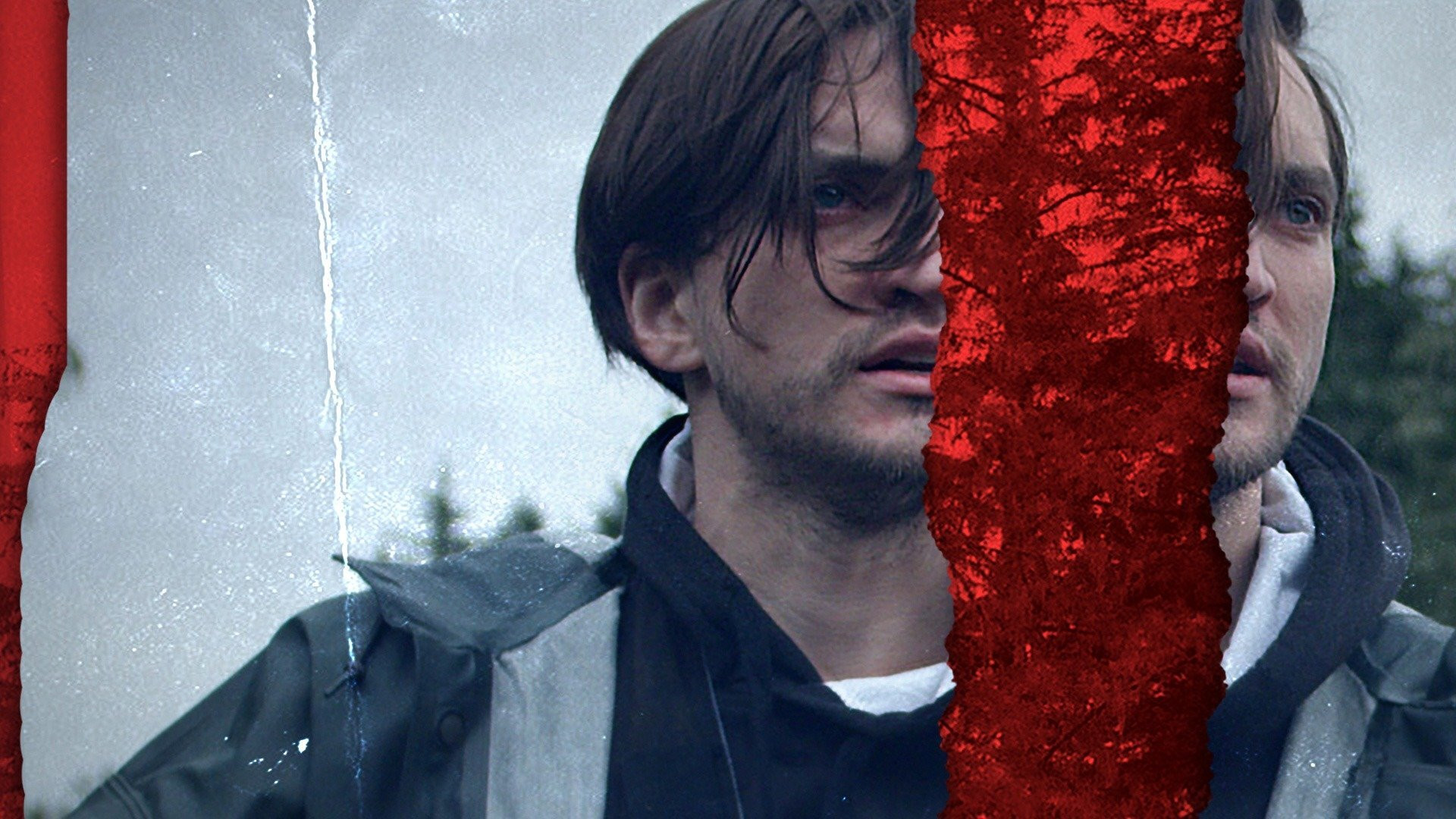 Backdrop for Woodland