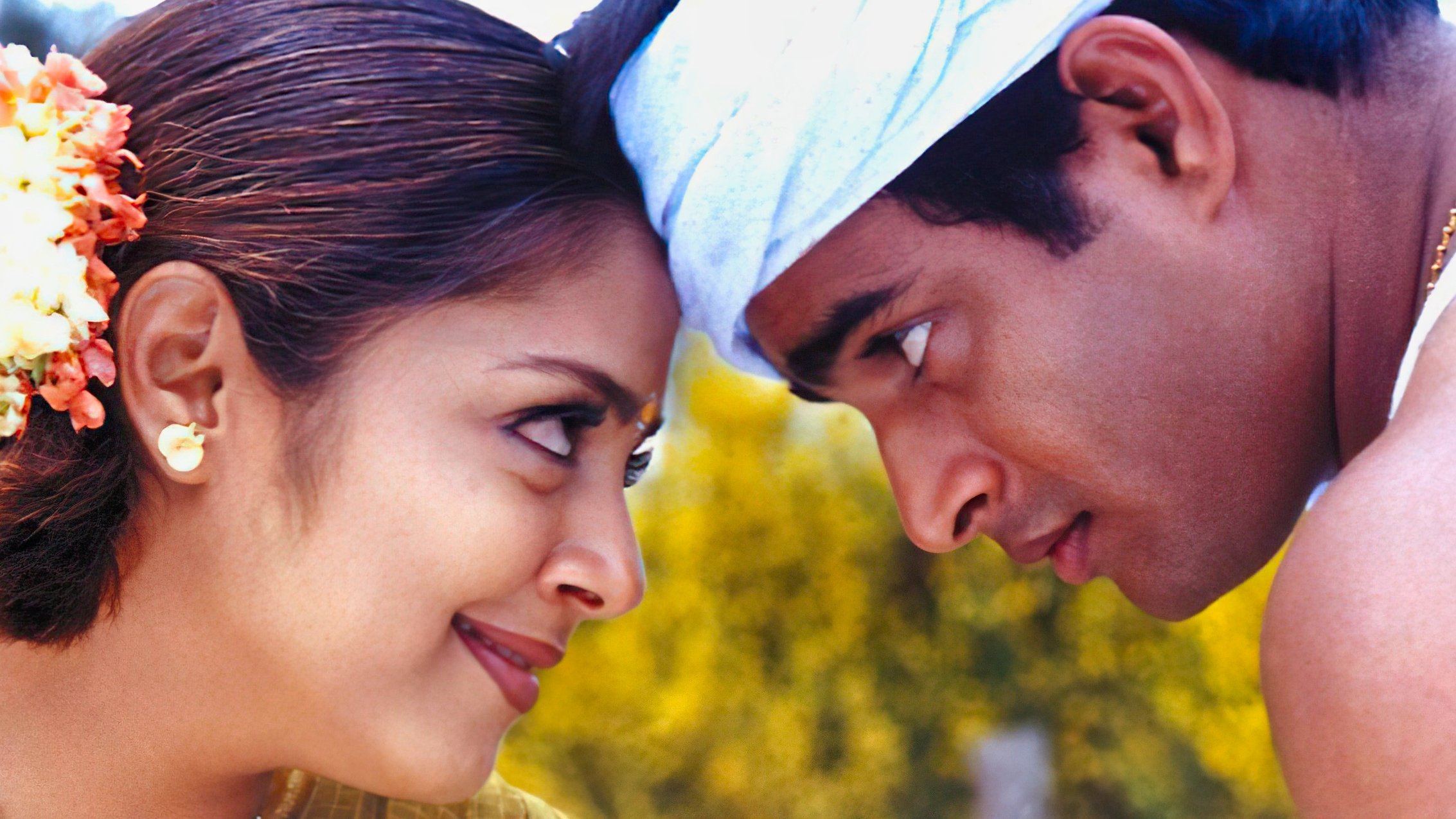 Backdrop for Dum Dum Dum