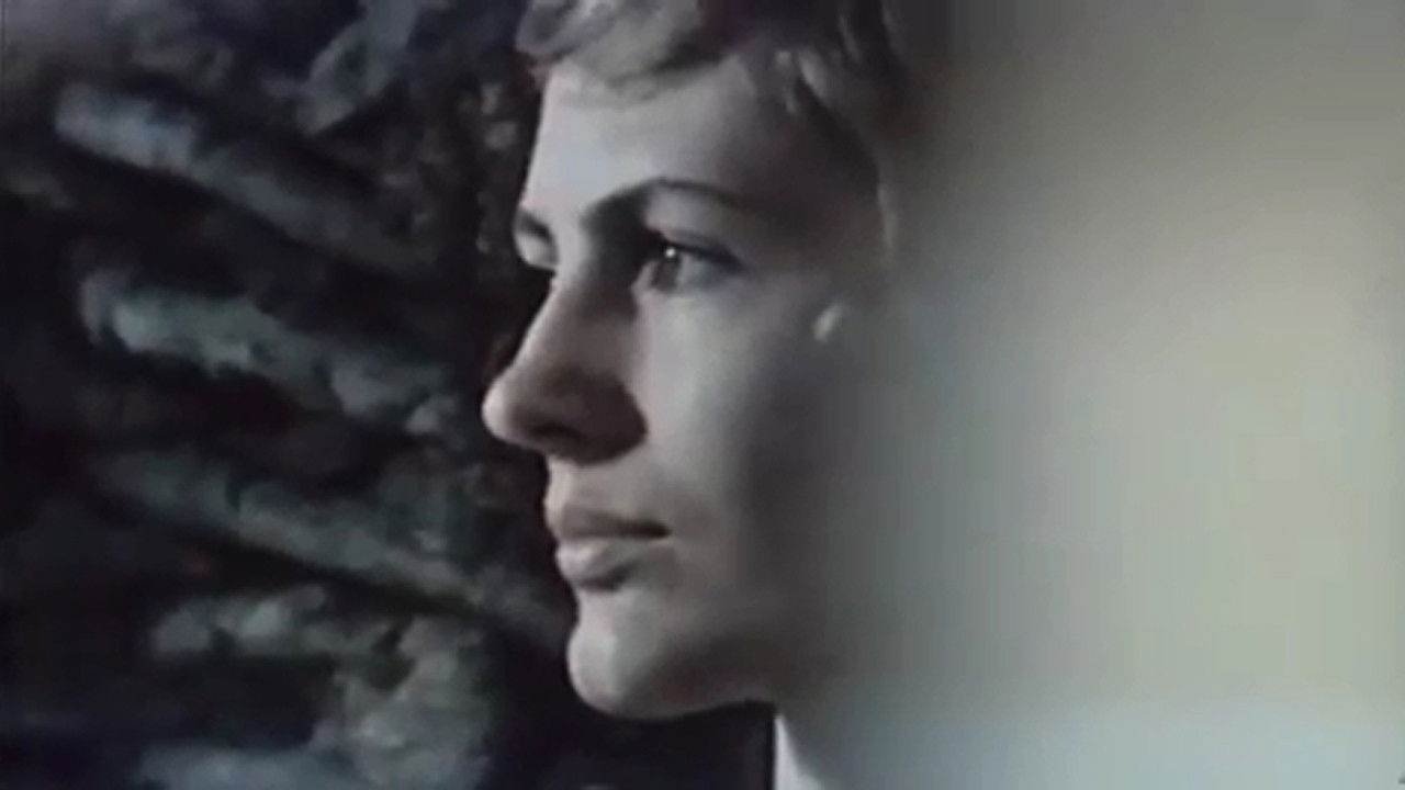 Backdrop for The Feast of the Baked Potato