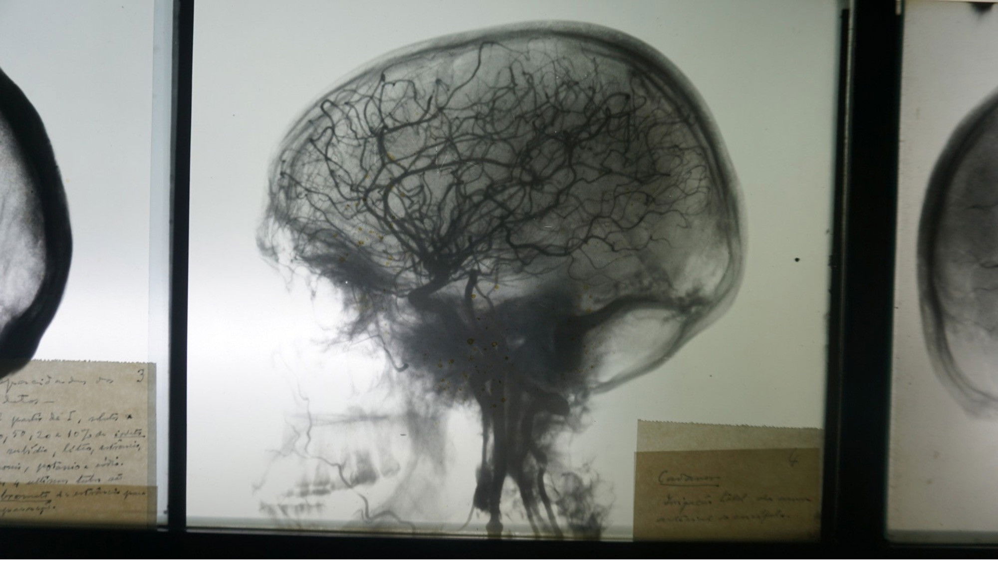 Backdrop for Uma Conversa em Família