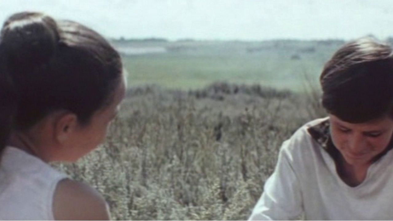 Backdrop for The Fifteenth Spring