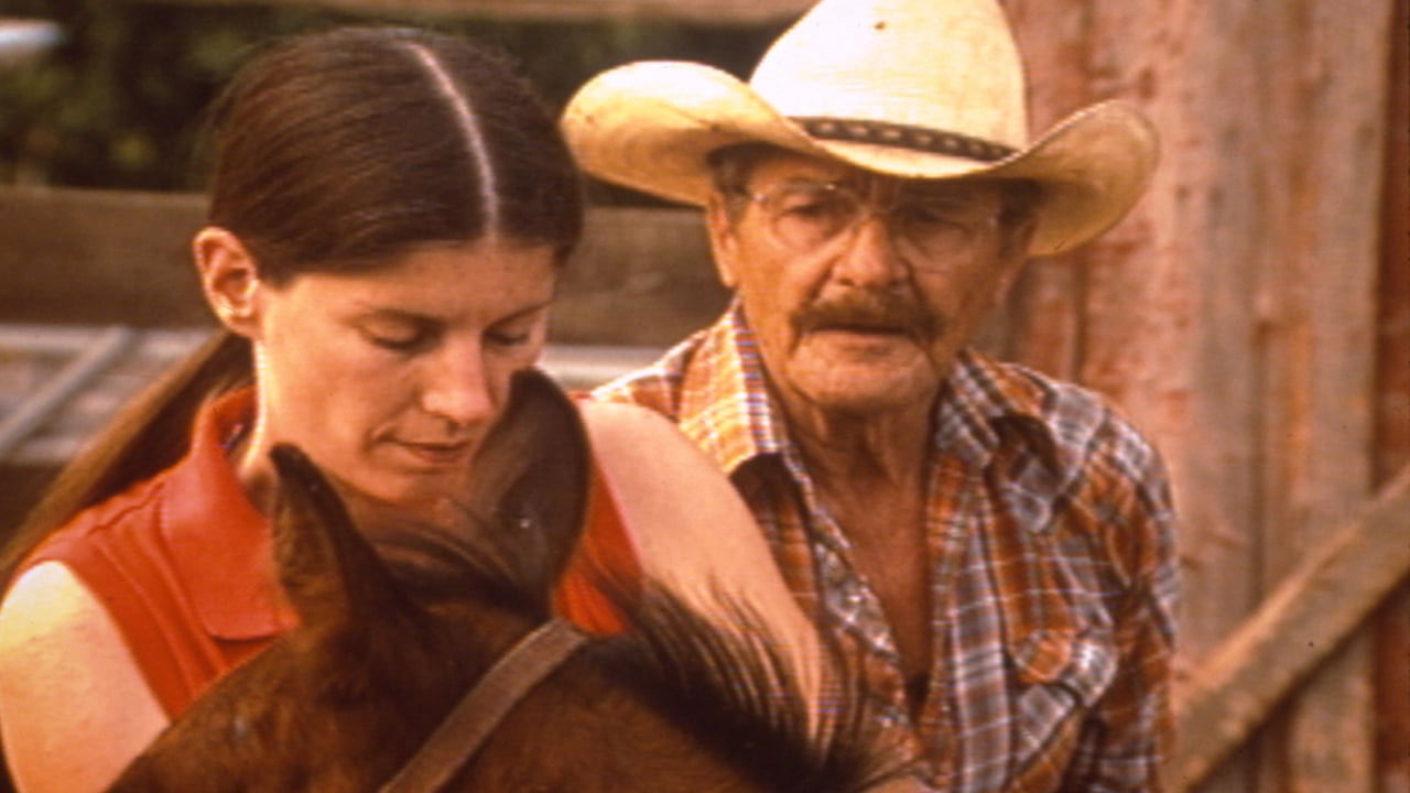 Backdrop for Out of Sight