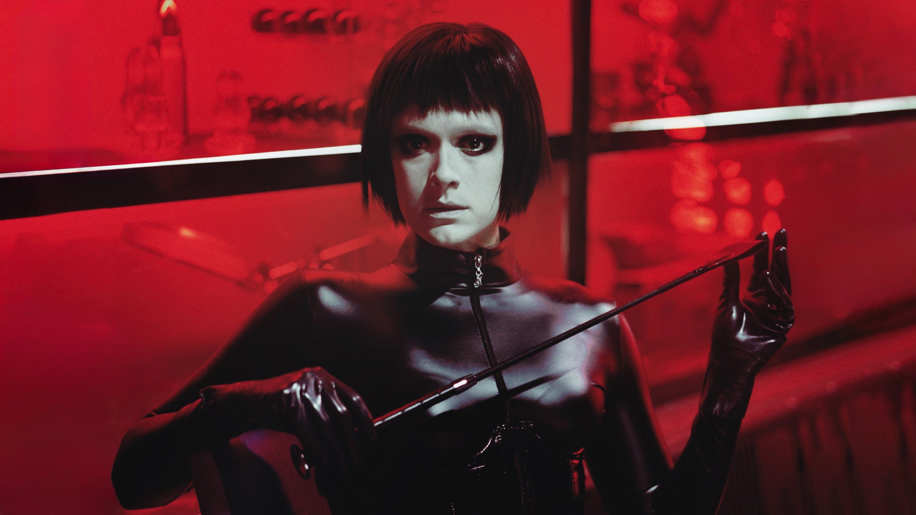 Backdrop for Dogs Don't Wear Pants