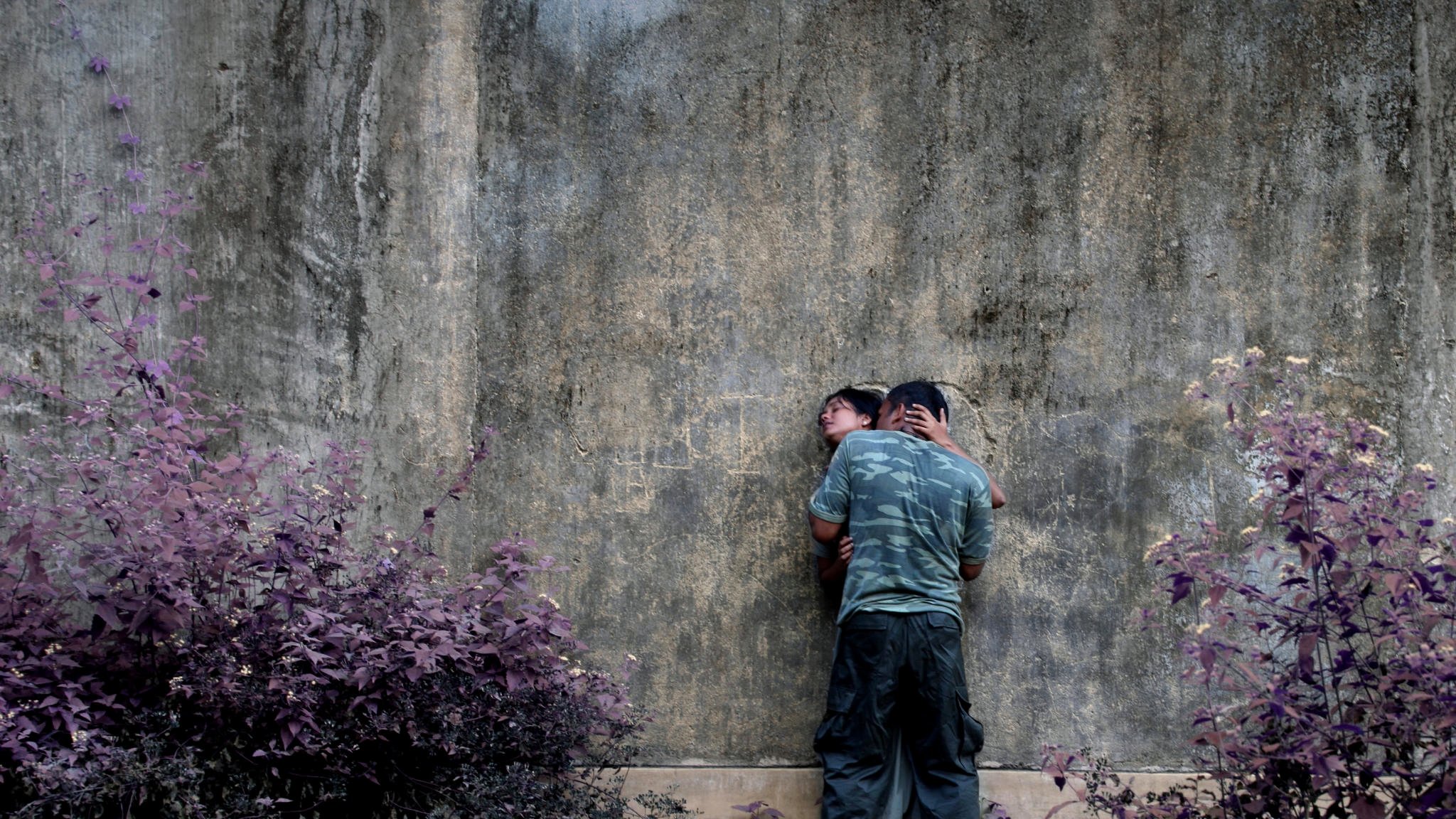 Backdrop for Flying Fish