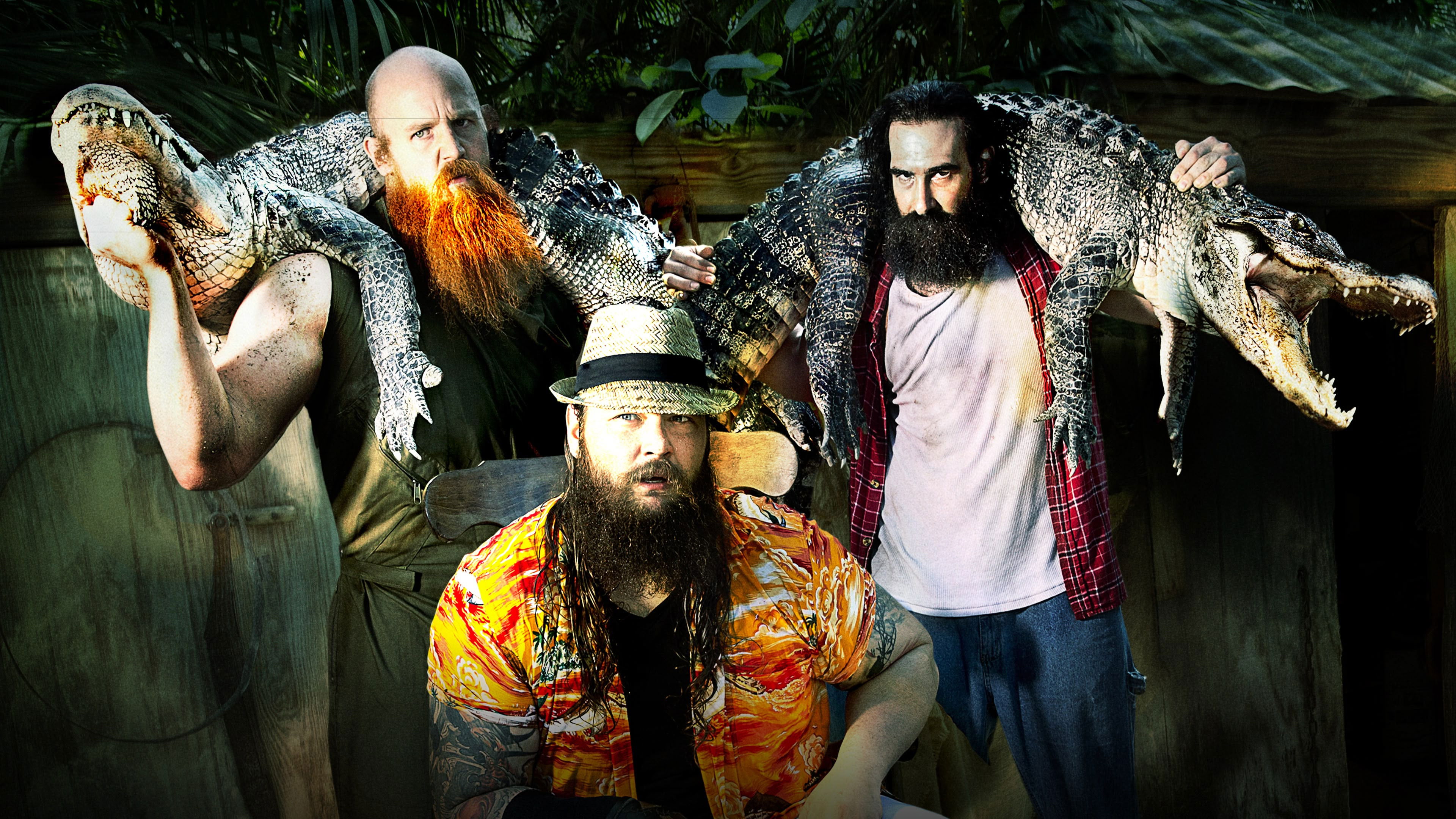 Backdrop for WWE Survivor Series 2013