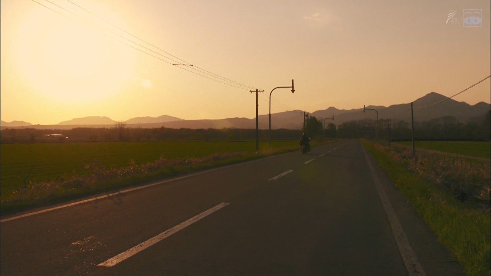 Backdrop for A Distant Cry from Spring