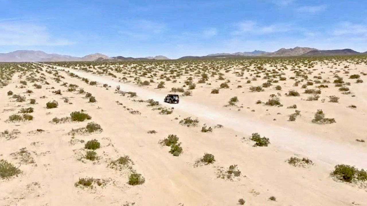 Backdrop for Principles of Curiosity