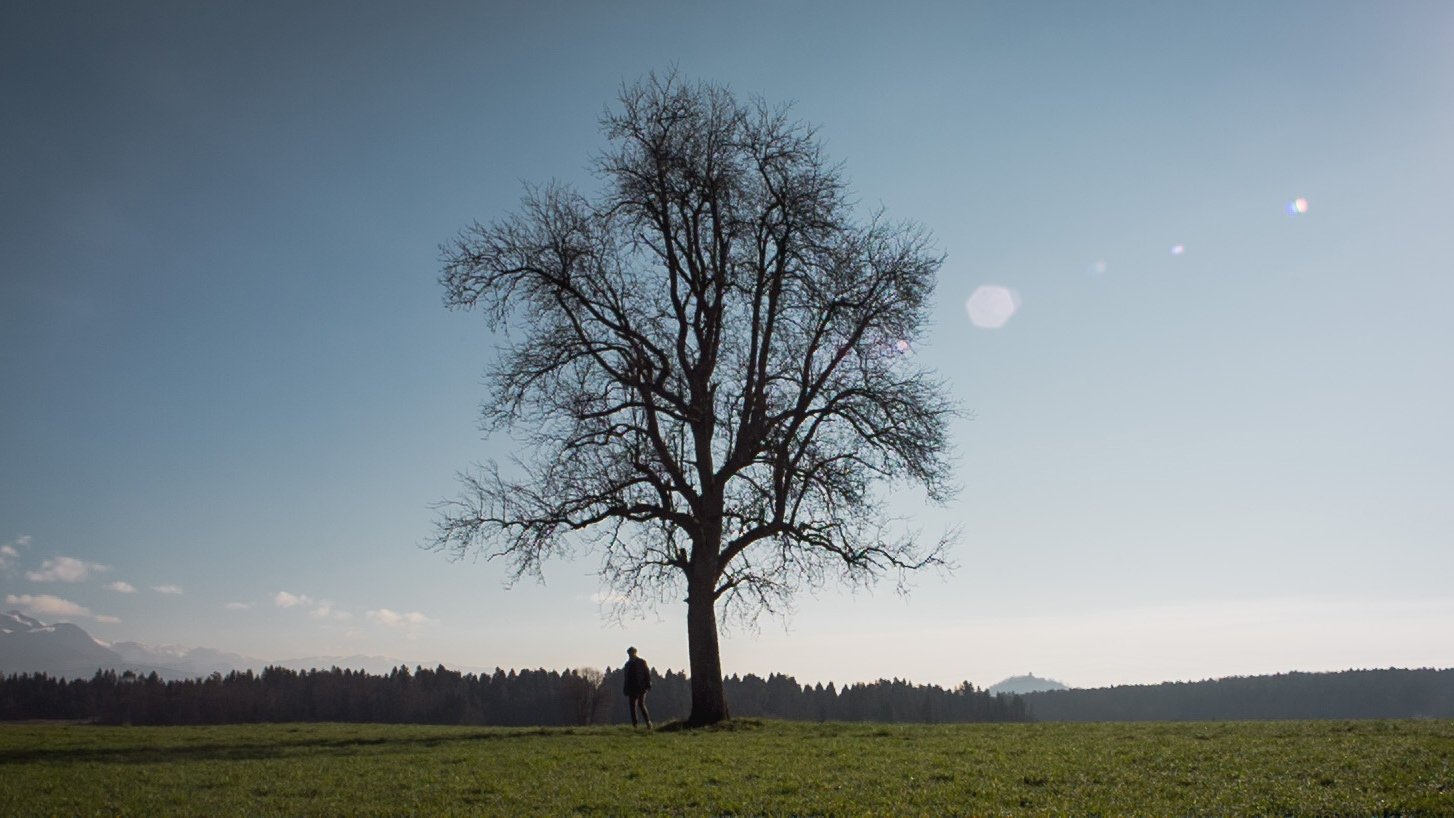 Backdrop for Outside