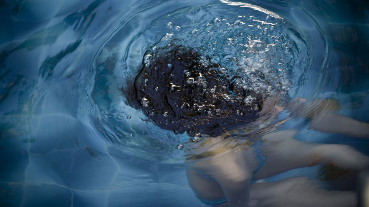 Backdrop for Laurita