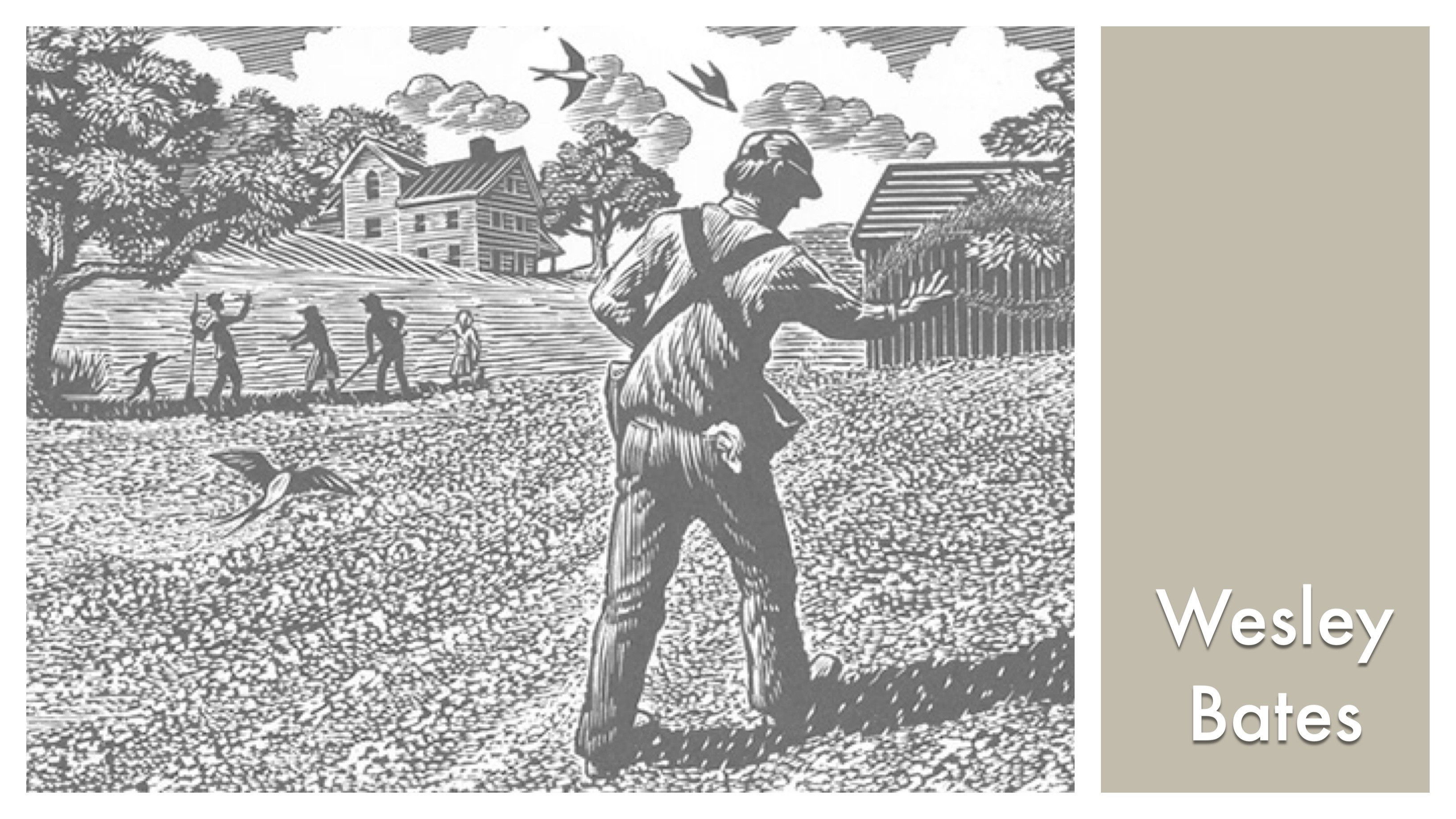 Backdrop for LOOK & SEE: Wesley W. Bates - Wood Engraver