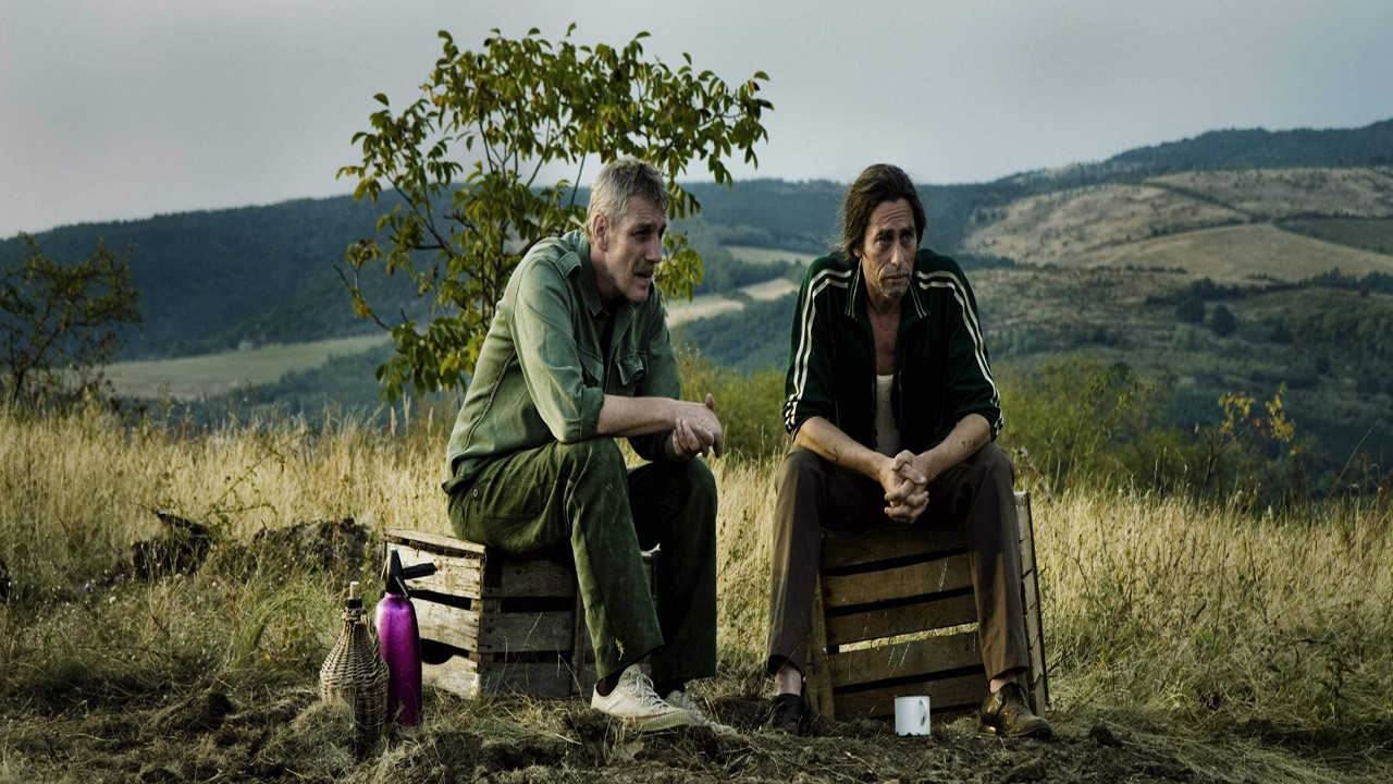 Backdrop for Father's Acre