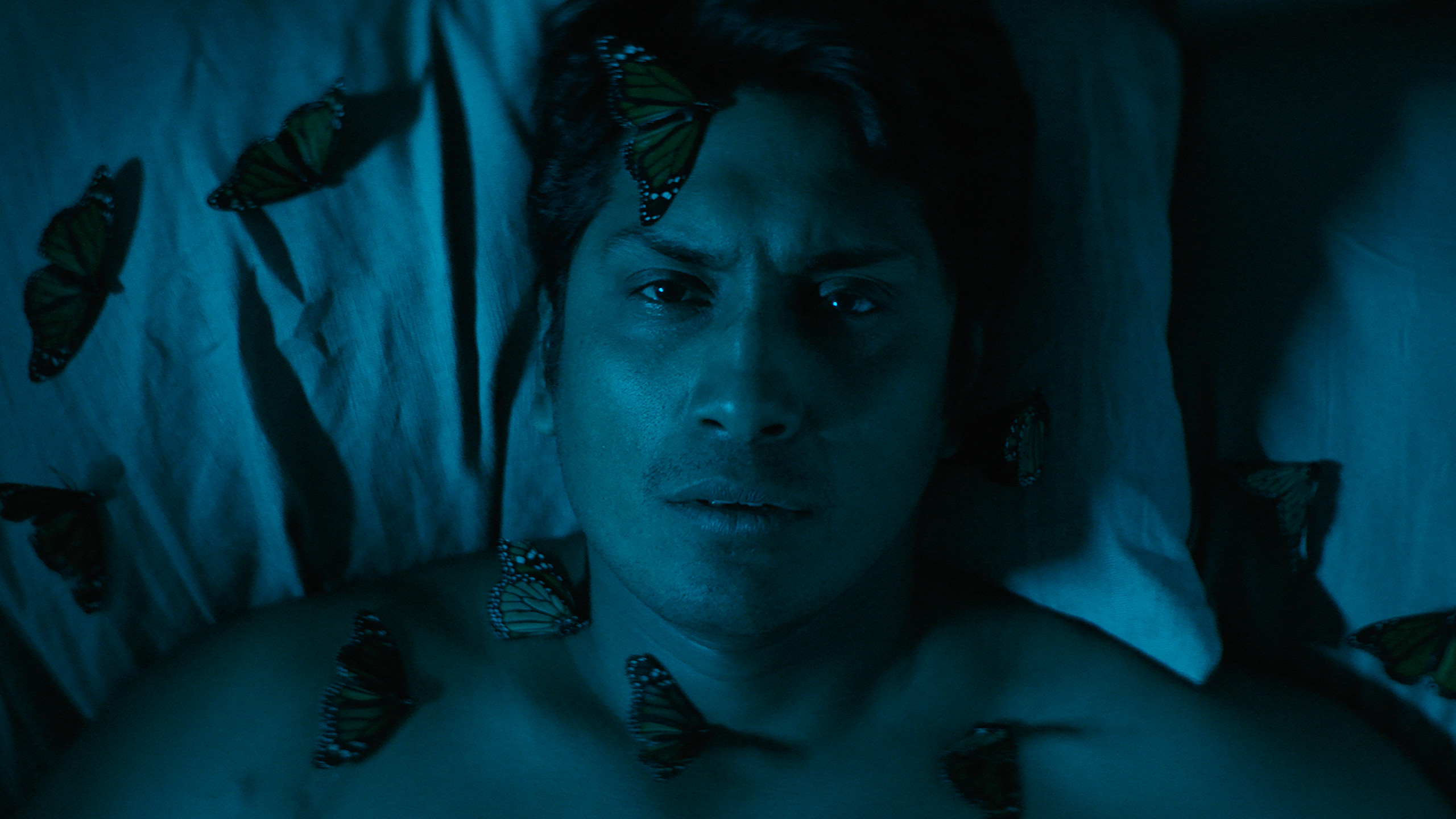 Backdrop for Son of Monarchs