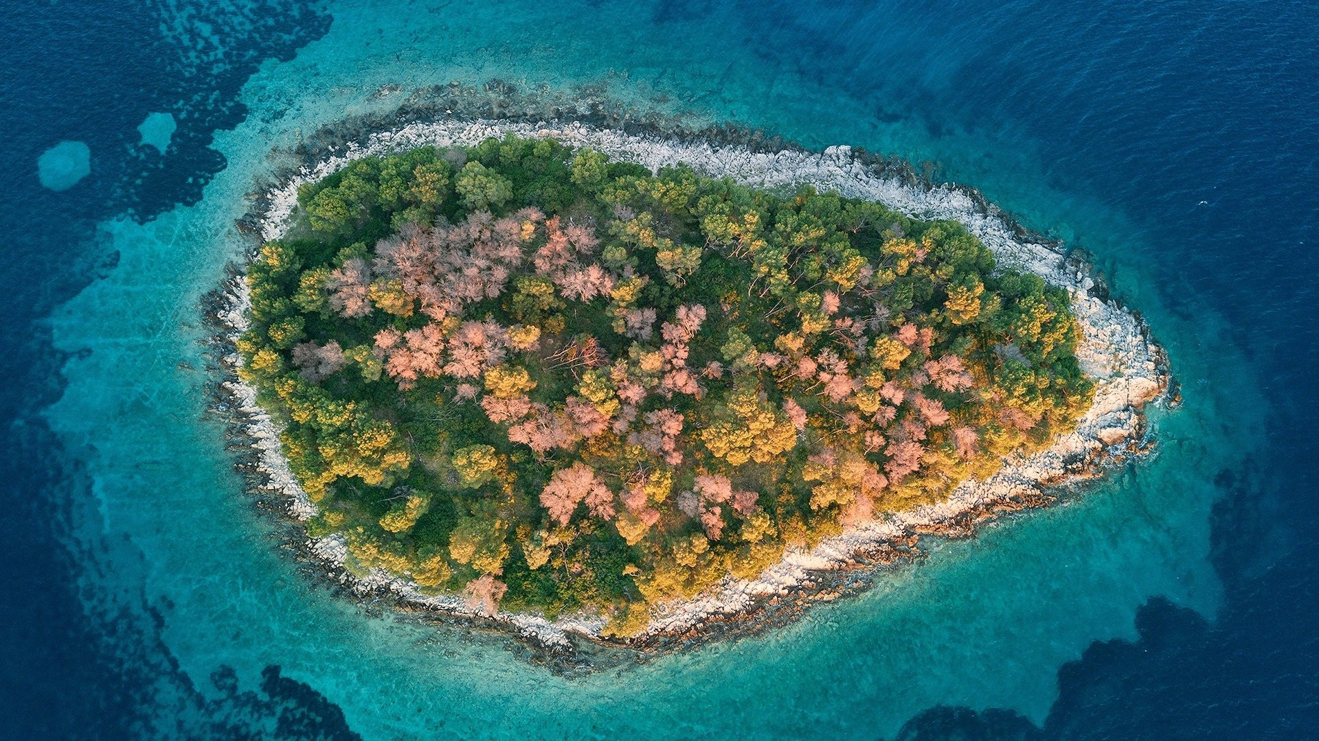 Backdrop for Ushuaïa Nature