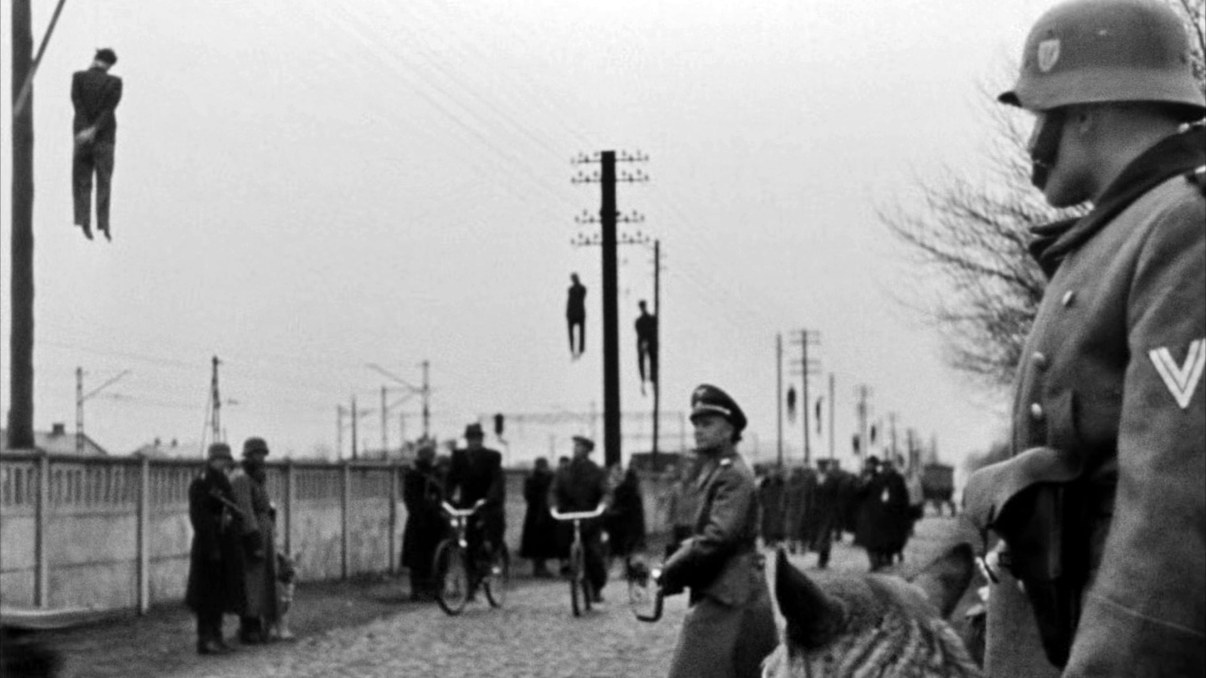 Backdrop for A Generation