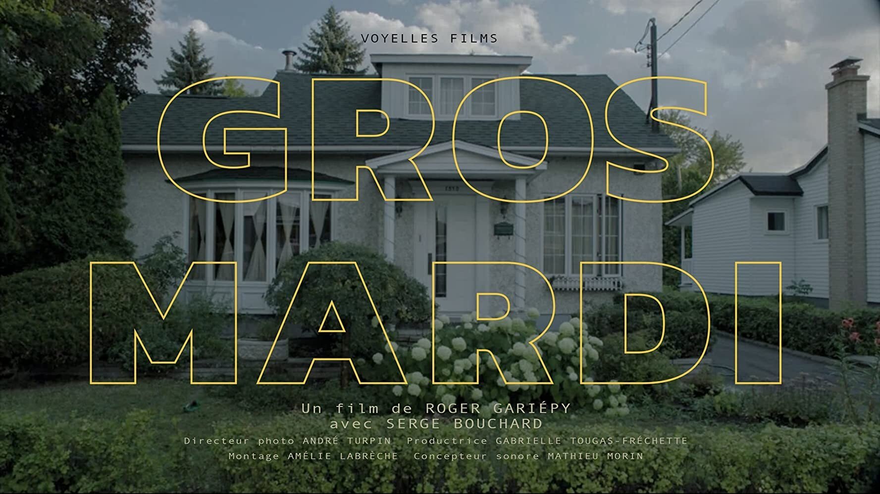 Backdrop for Busy Tuesday