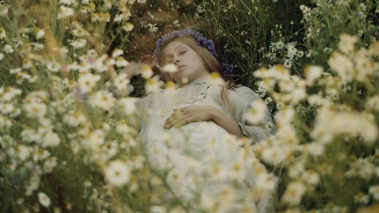 Backdrop for Scattered Nest