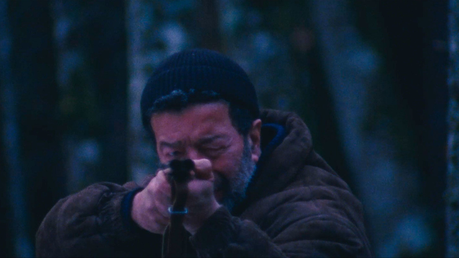 Backdrop for Blackbird