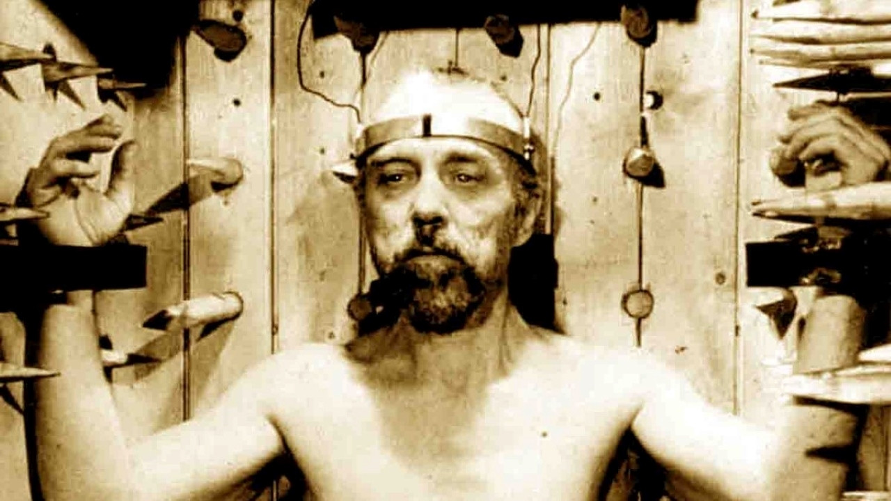 Backdrop for Silver Heads