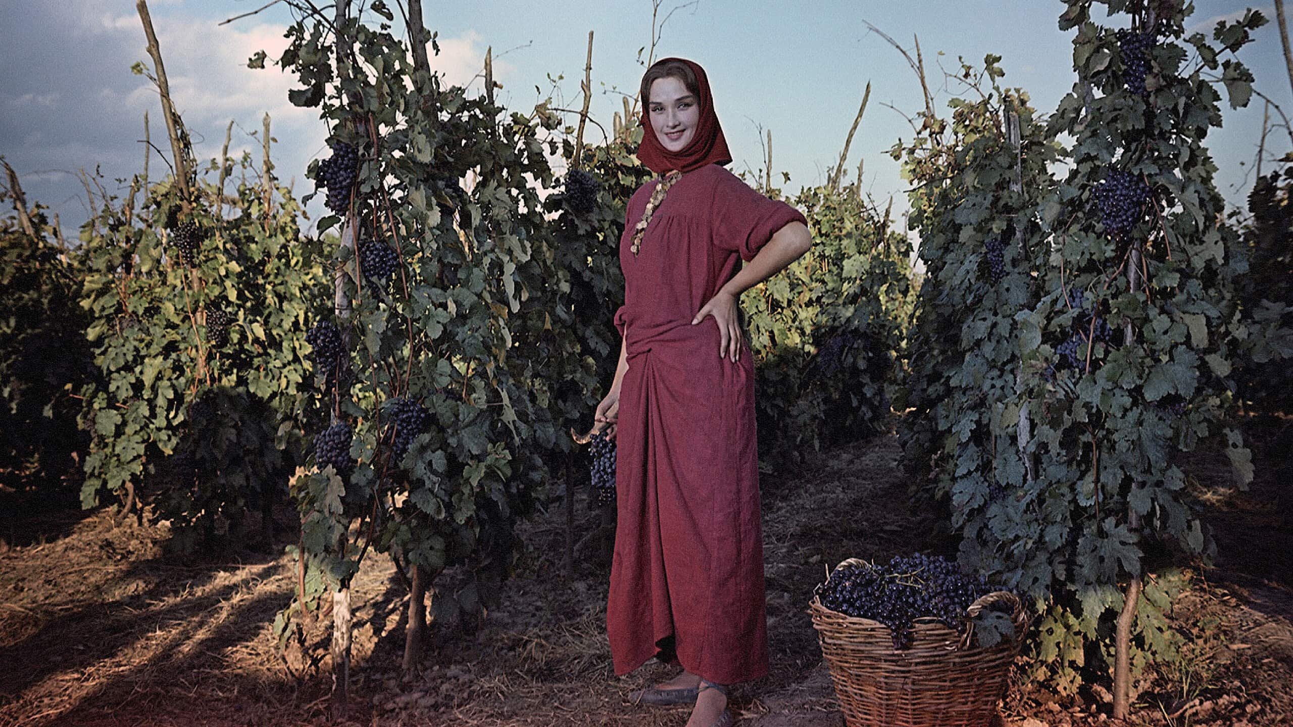 Backdrop for The Cossacks