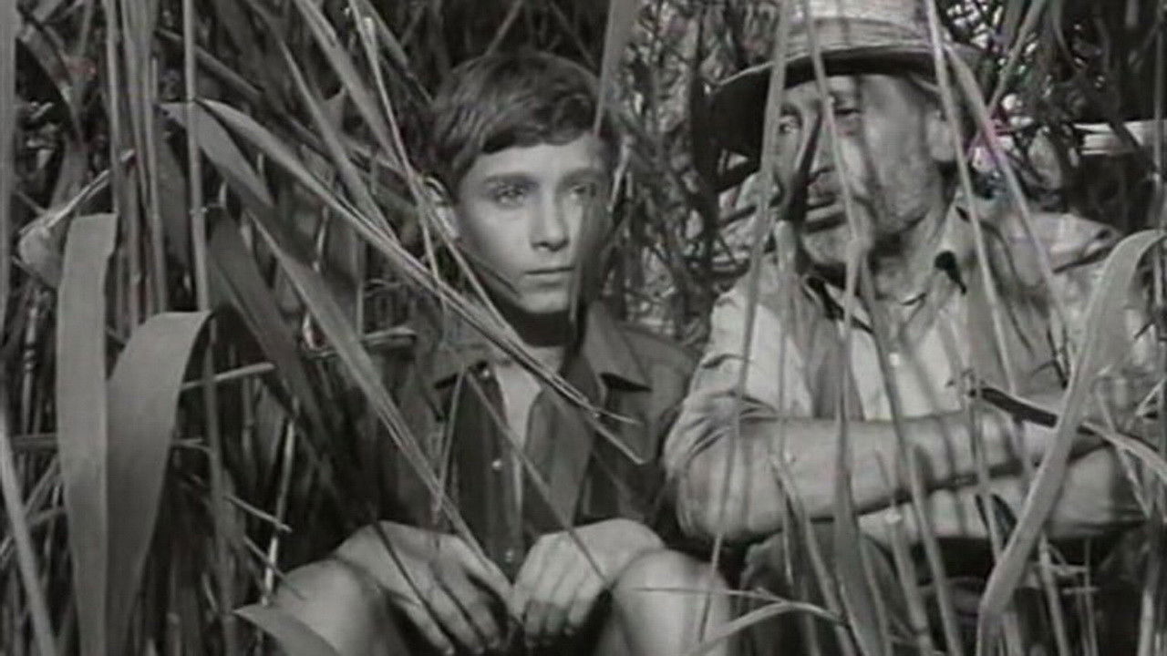 Backdrop for Thorn Castle