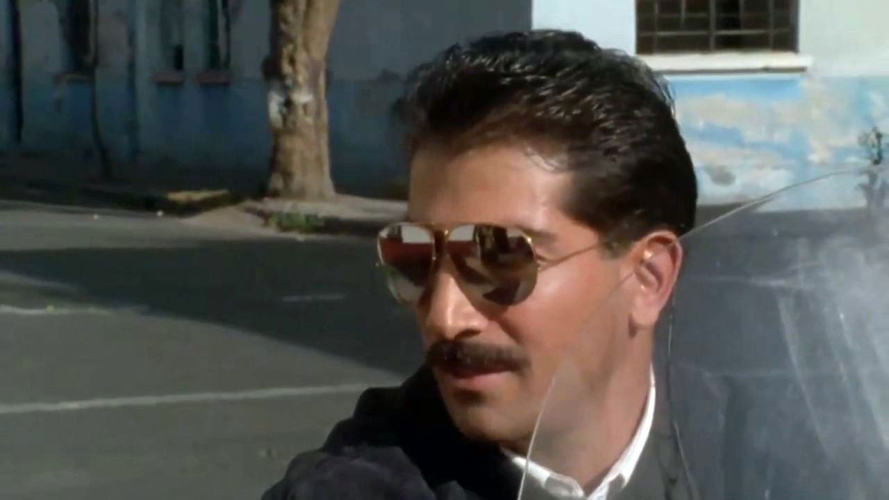 Backdrop for Perros de la ley