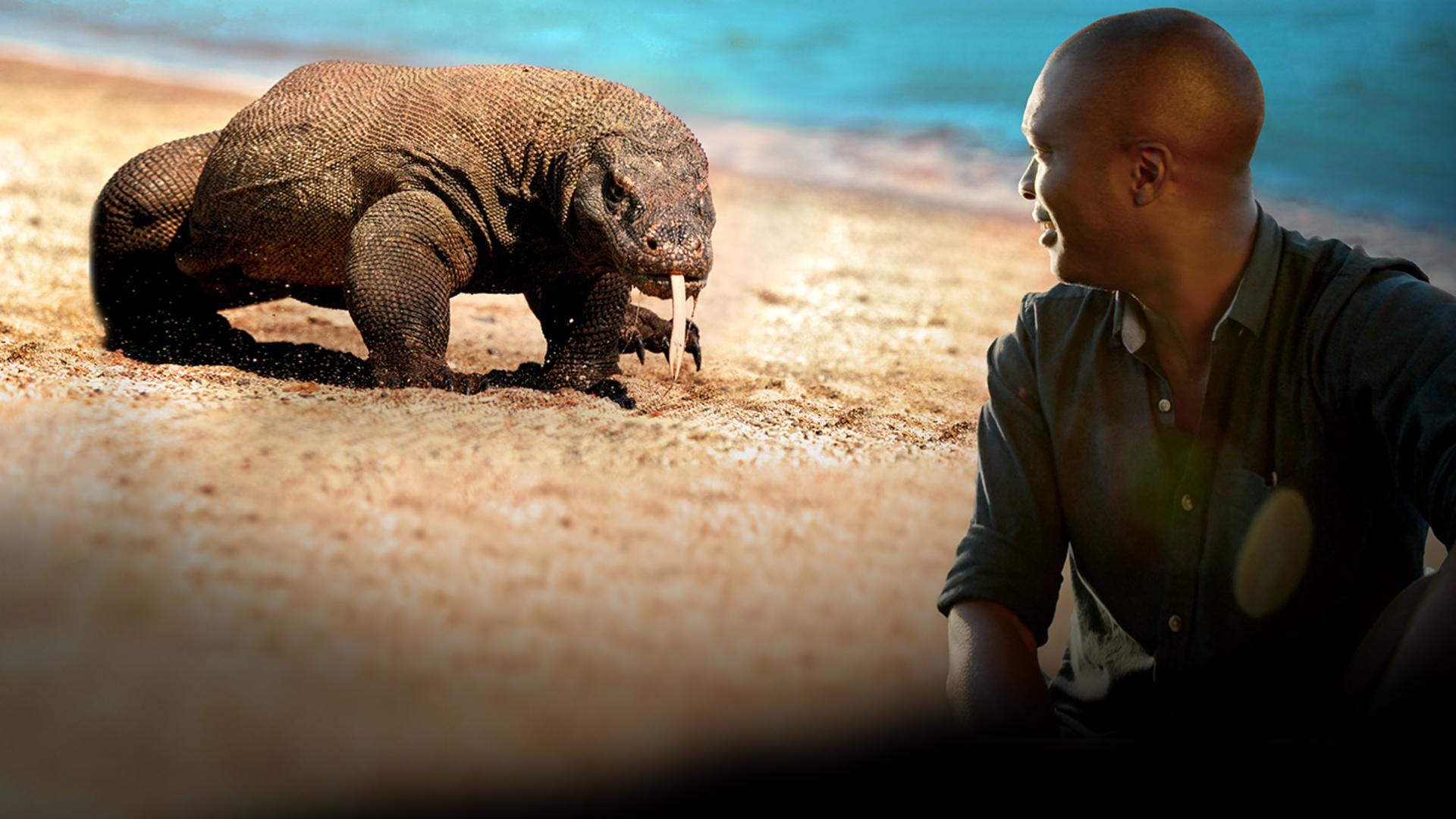 Backdrop for Big Beasts: Last of the Giants