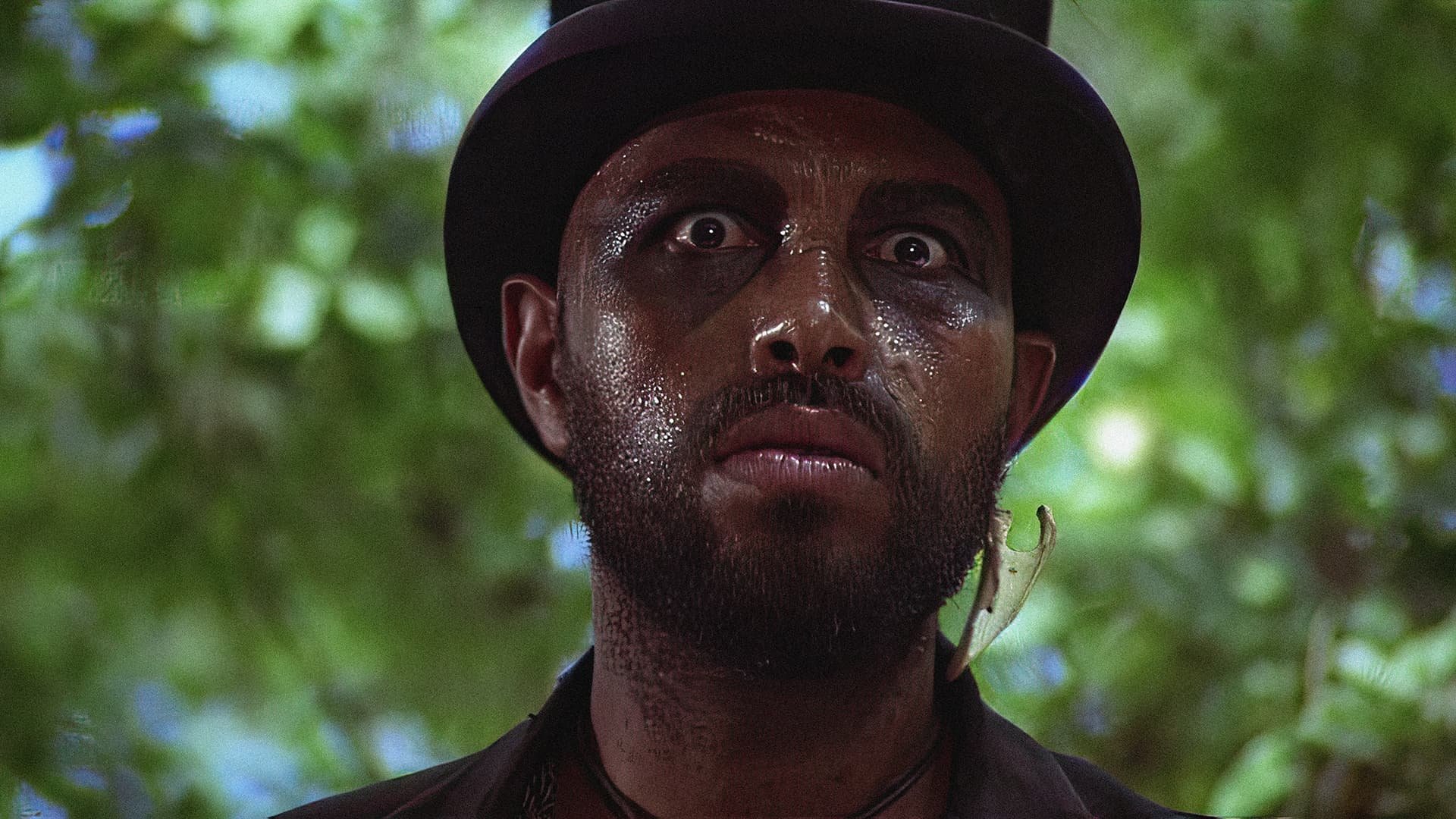 Backdrop for Sugar Hill