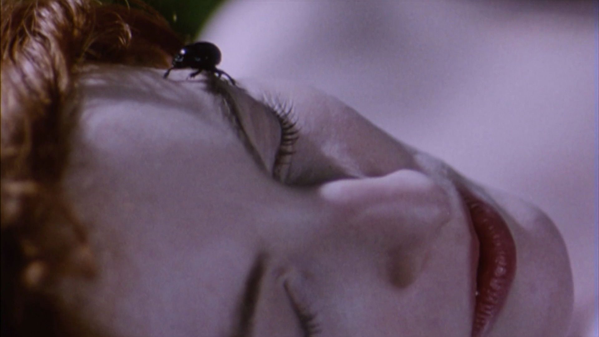 Backdrop for Belle de Nature