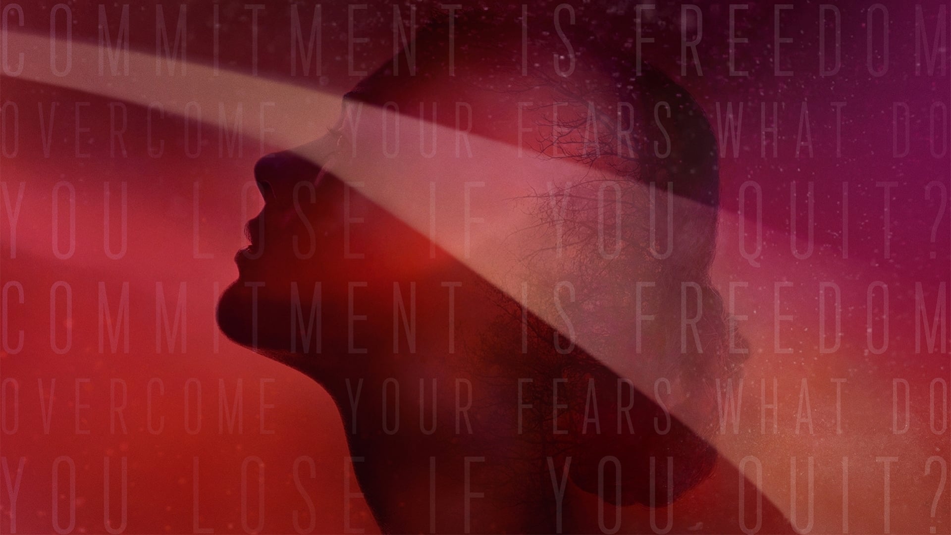 Backdrop for The Vow